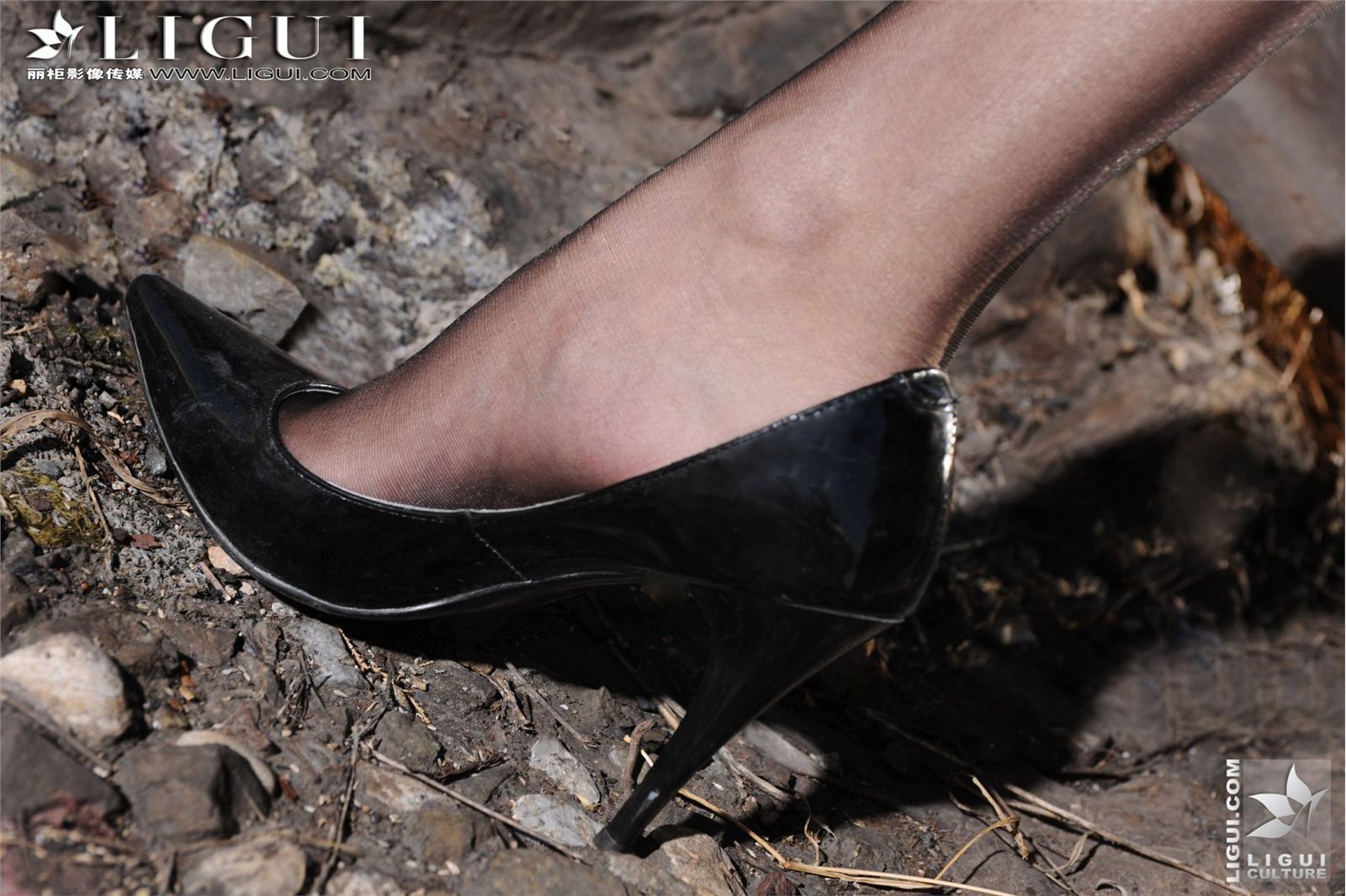 Ligui20120406黑丝美腿诱惑-文欣 丽柜模特套图