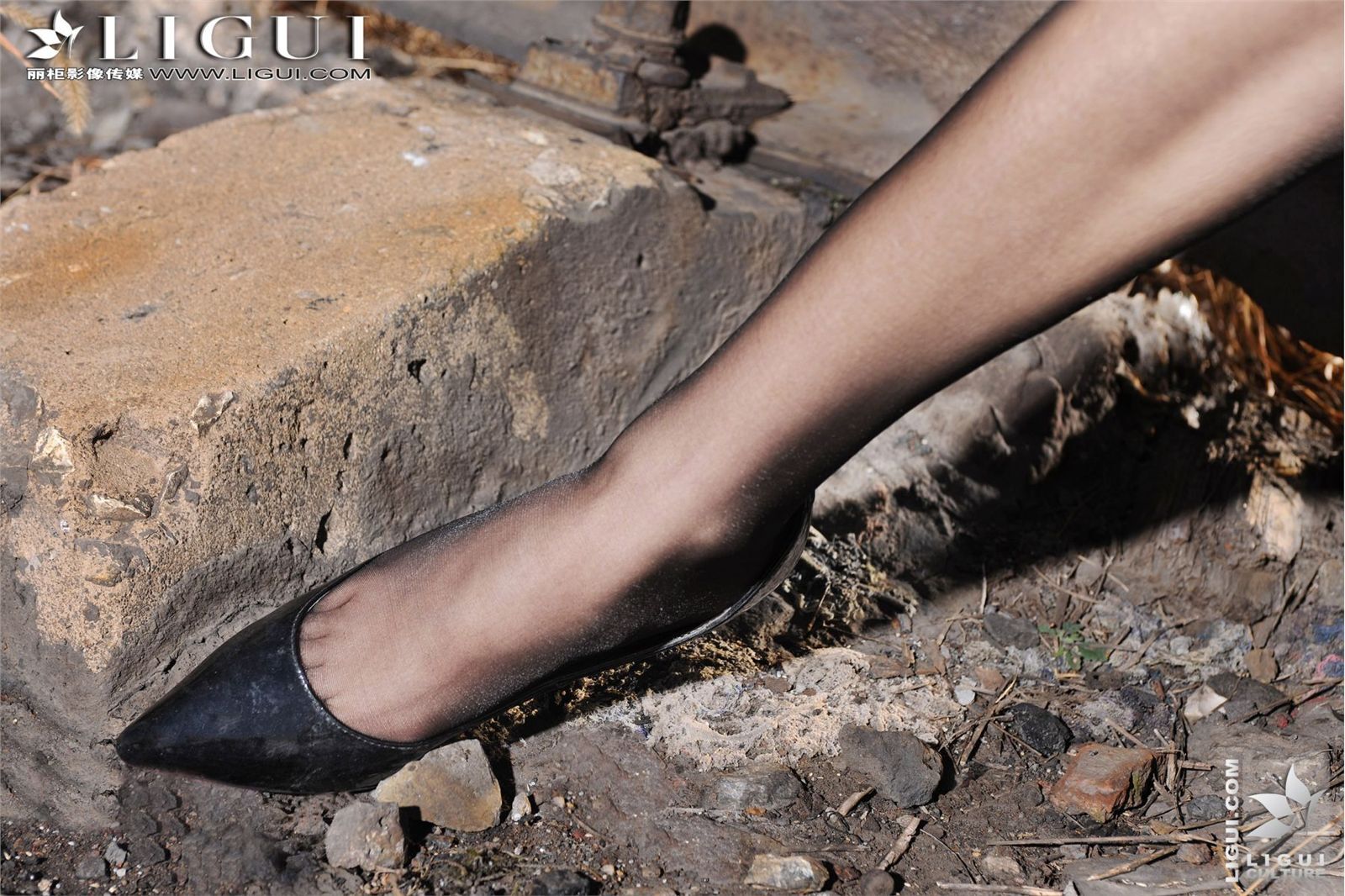 Ligui20120406黑丝美腿诱惑-文欣 丽柜模特套图