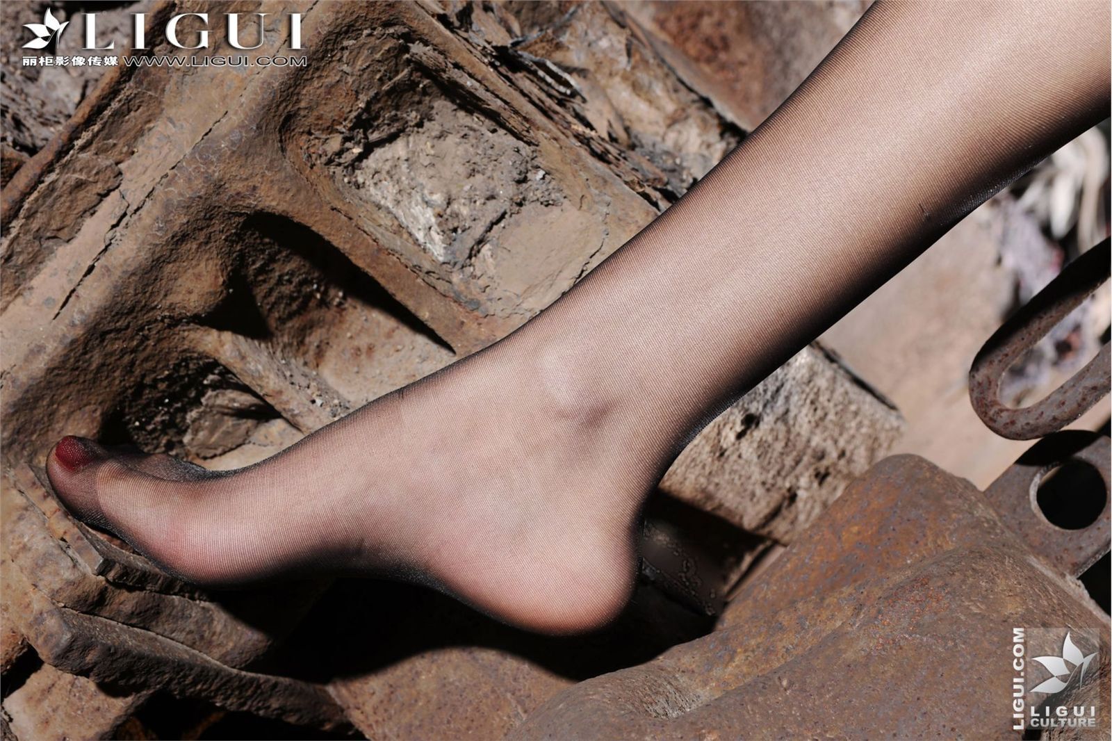 Ligui20120406黑丝美腿诱惑-文欣 丽柜模特套图