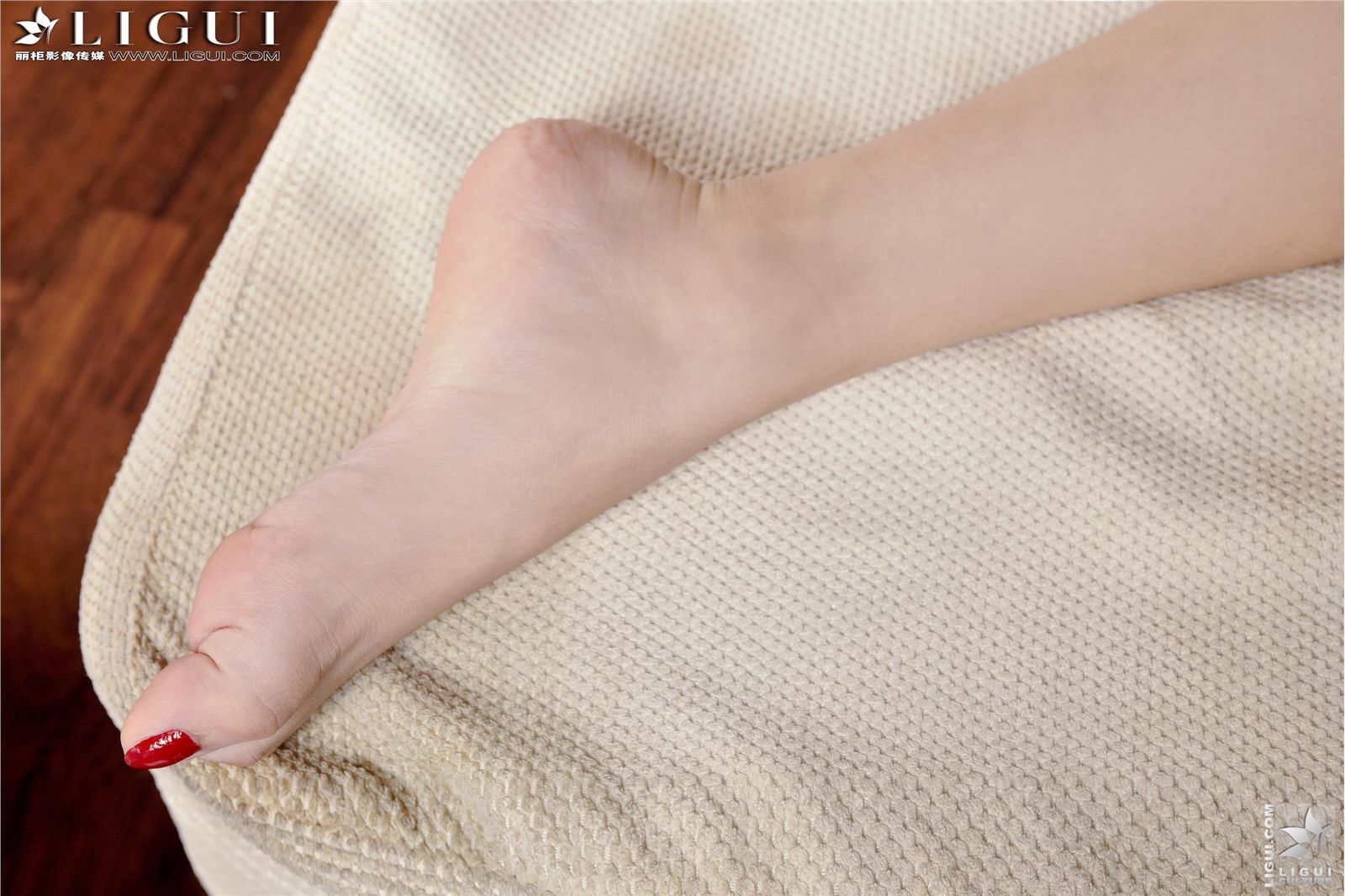 [丽柜vip另类视觉] 2013.01.31 Model 淩淩  国内性感美女写真