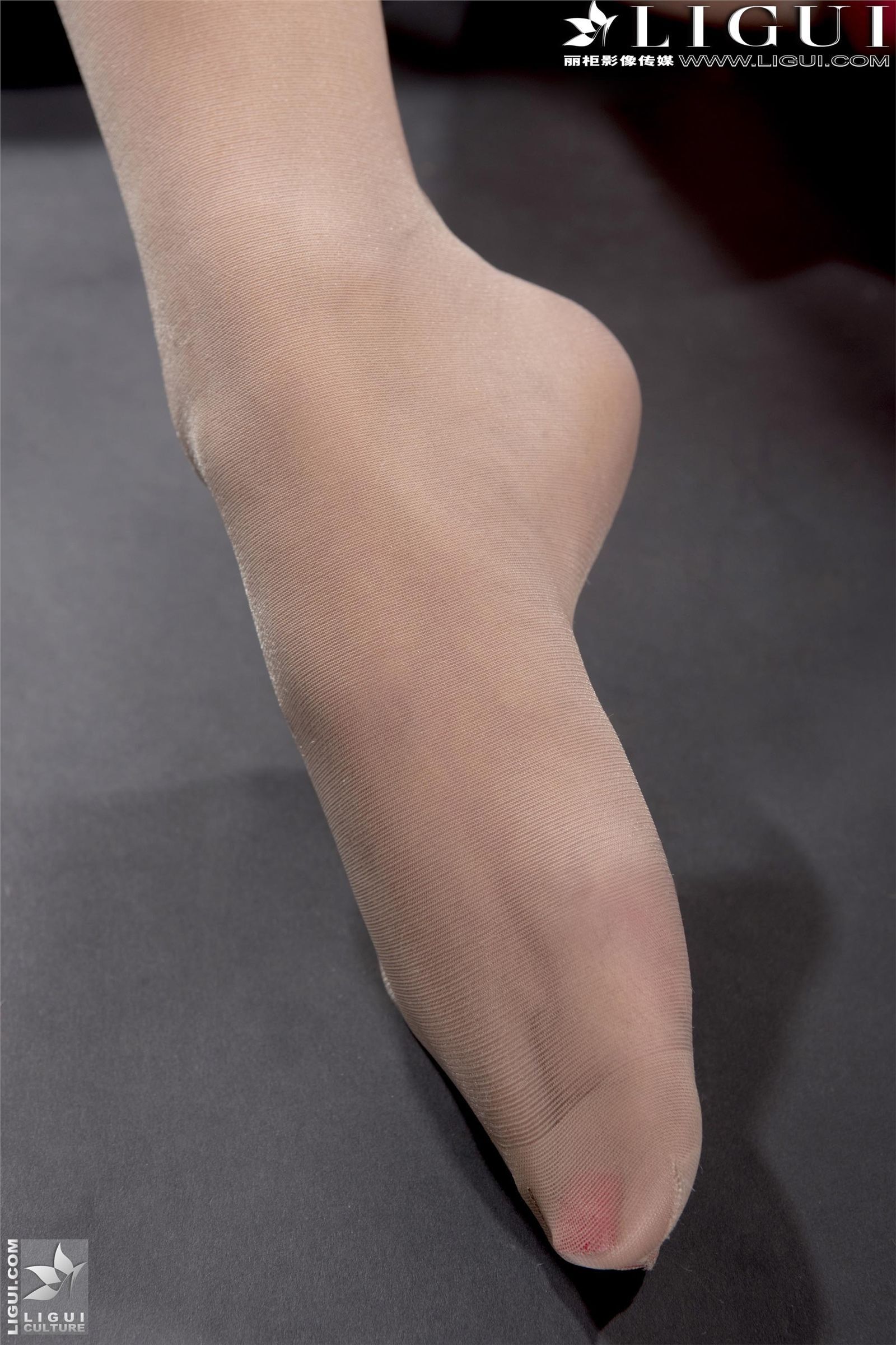 [丽柜] 2013.03.13时尚写真 MODEL 美美 性感丝袜美女