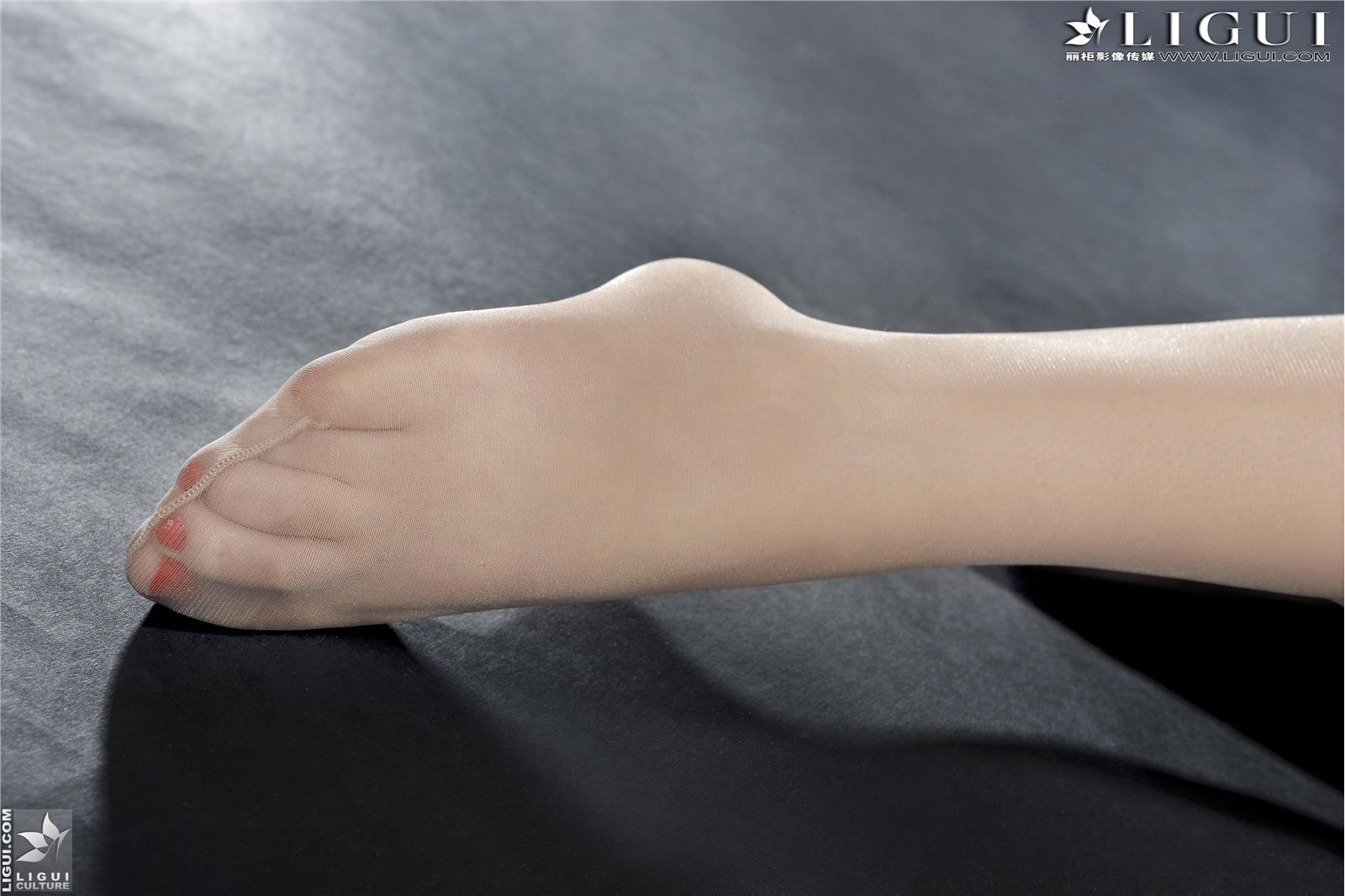 [丽柜] 2013.03.16 网络丽人 MODEL 岚岚 丝袜美女