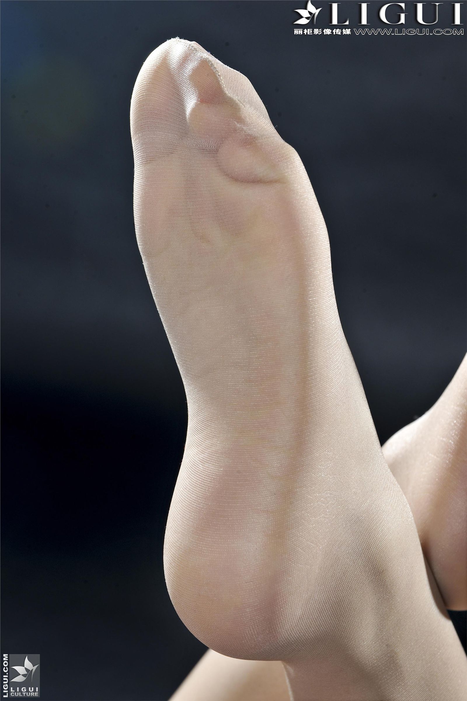 [丽柜] 2013.03.16 网络丽人 MODEL 岚岚 丝袜美女