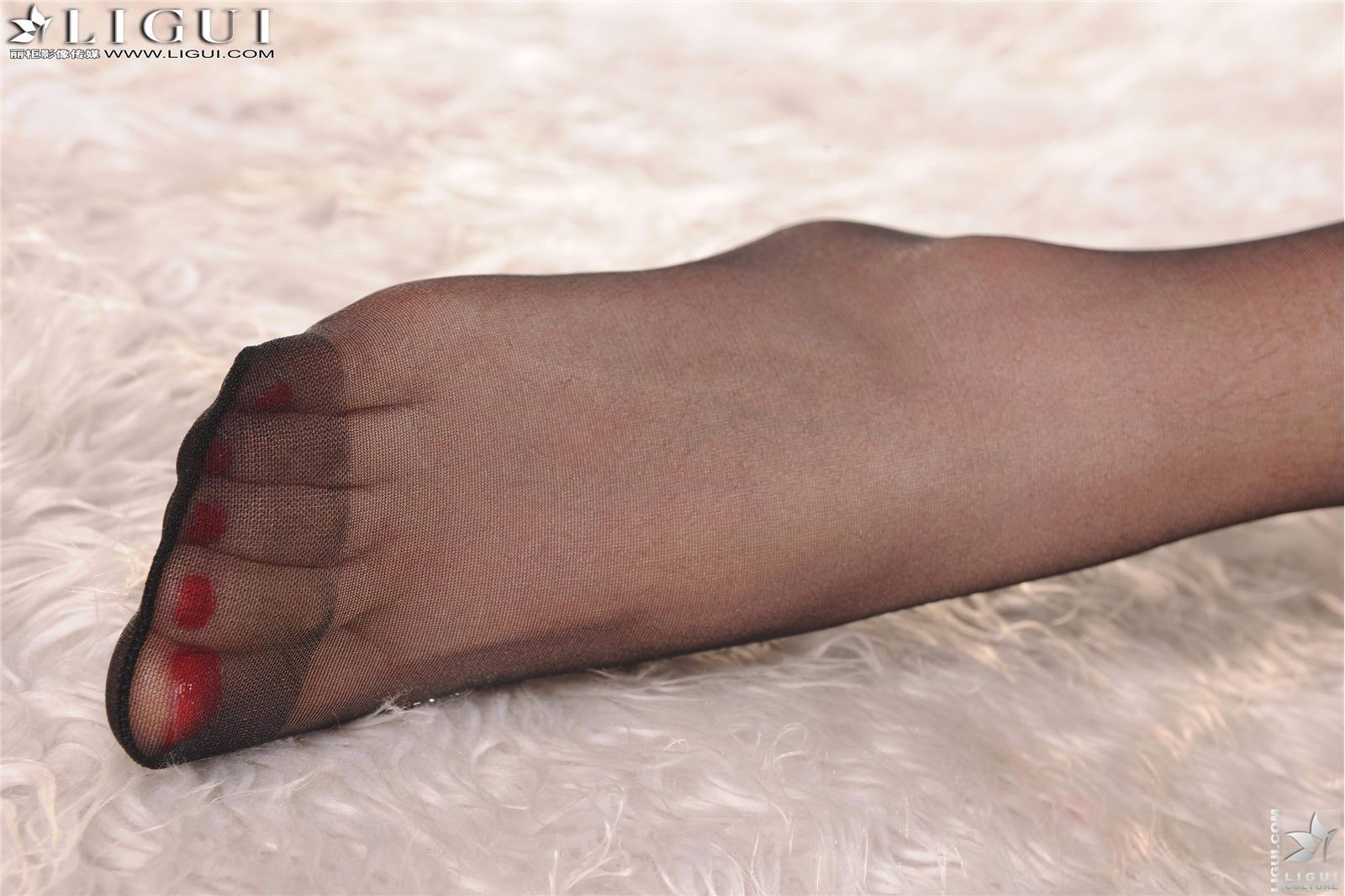 [丽柜] 2013.03.23网络丽人 MODEL 允儿 最新丝袜