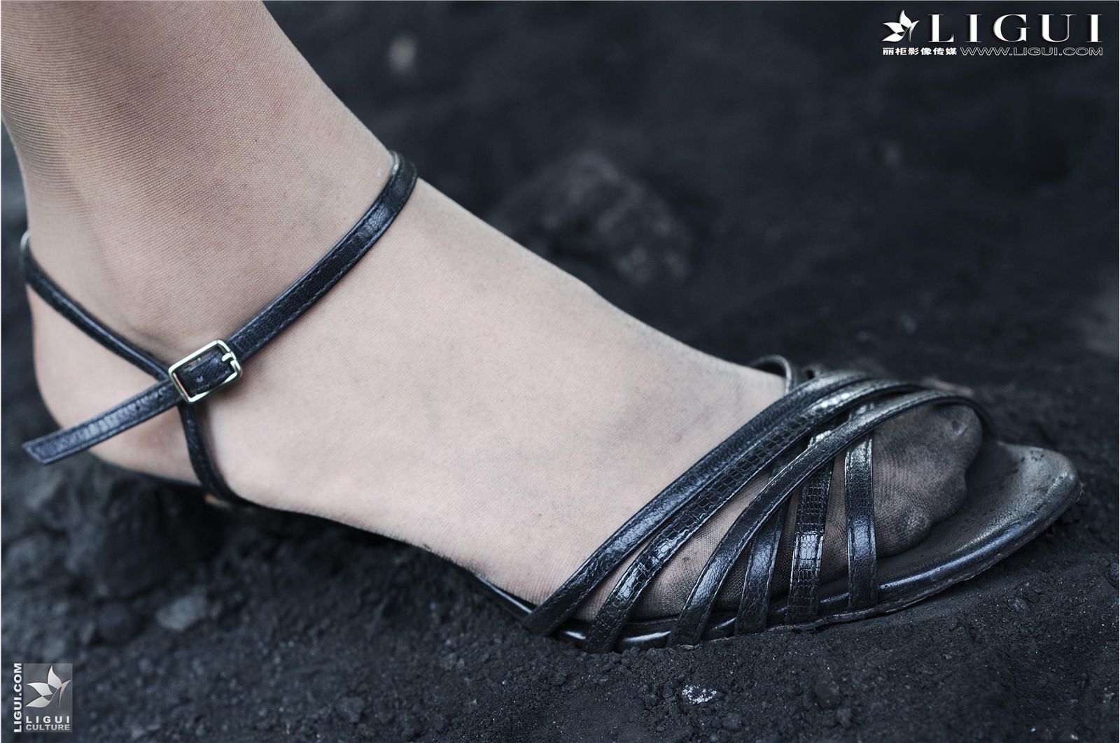 [丽柜] 2013.03.25 另类视觉 MODEL 梦露 丝袜美女图片