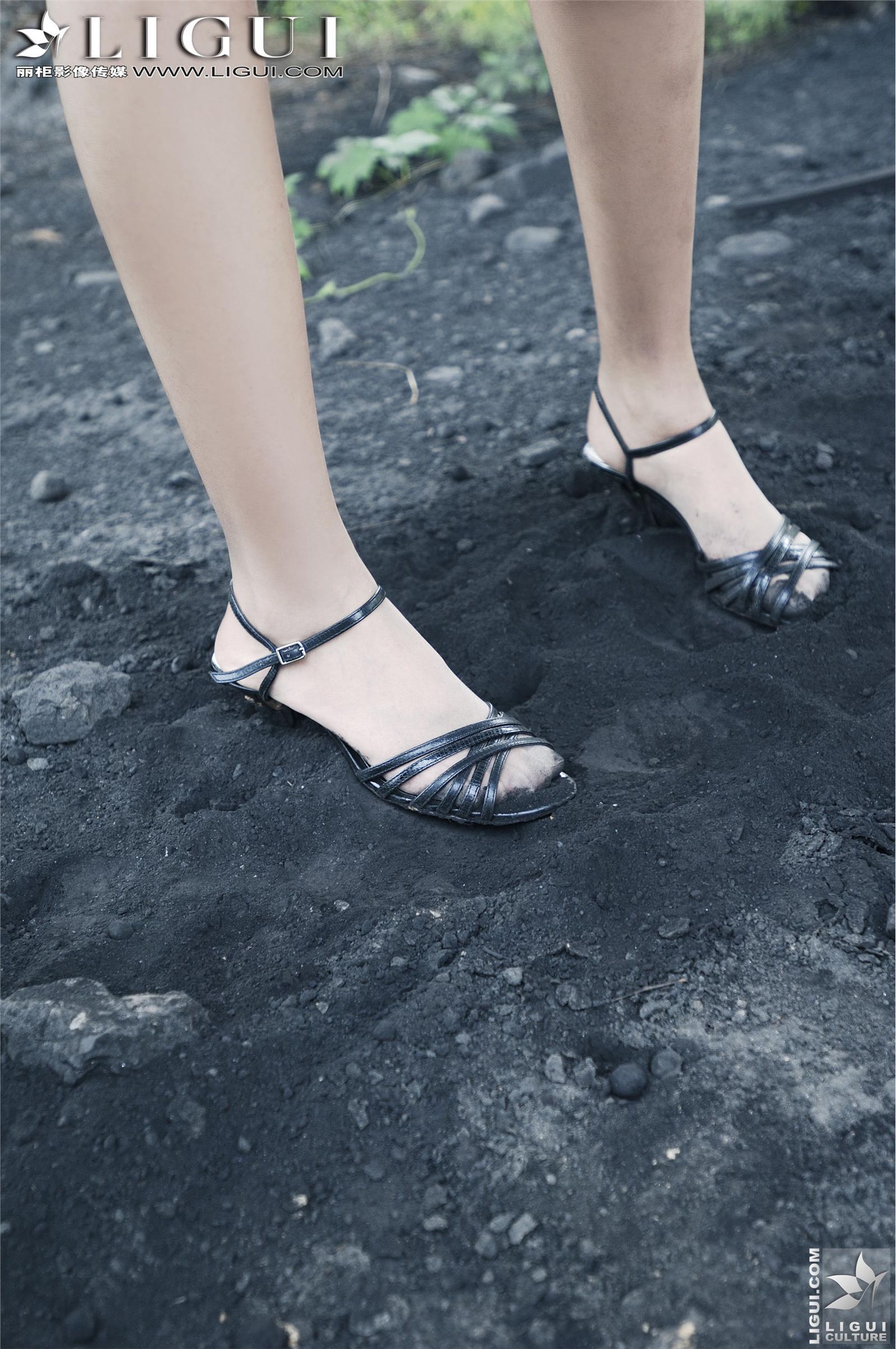 [丽柜] 2013.03.25 另类视觉 MODEL 梦露 丝袜美女图片