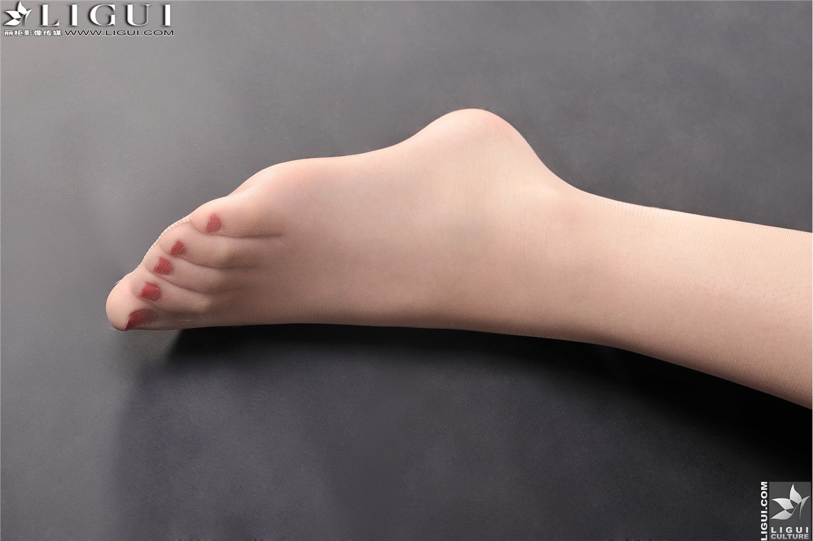 [丽柜] 2013.04.11 网络丽人 MODEL 文欣 制服丝袜