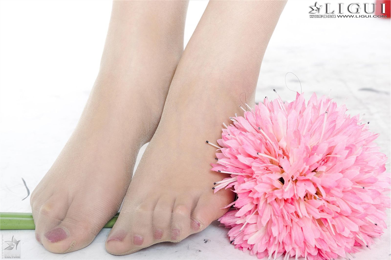 [丽柜] 网络丽人 MODEL 文静 高清性感美女