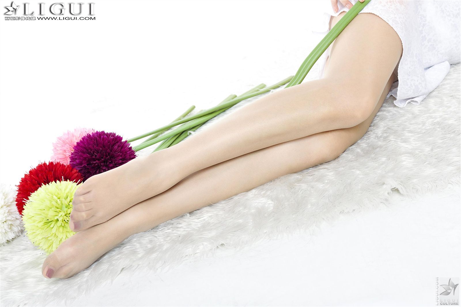 [丽柜] 2013.04.18 网络丽人 MODEL 文静 美腿模特套图