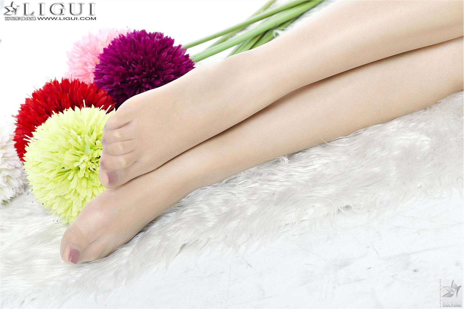 [丽柜] 2013.04.18 网络丽人 MODEL 文静 美腿模特套图