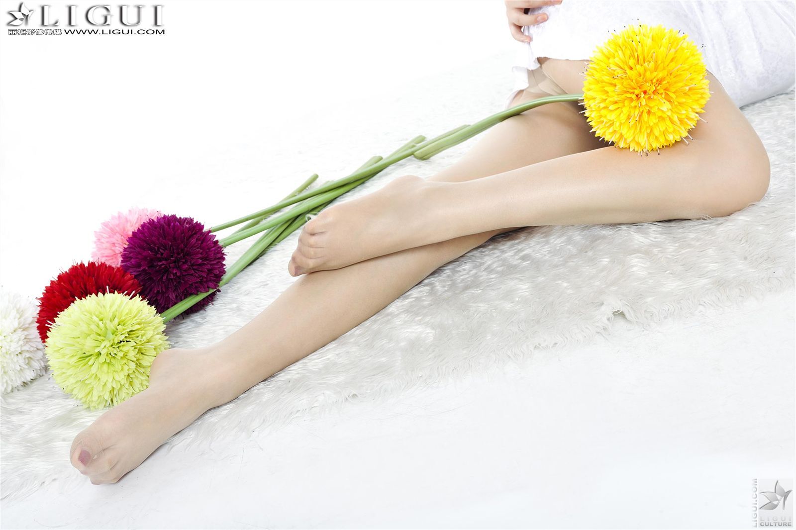 [丽柜] 2013.04.18 网络丽人 MODEL 文静 美腿模特套图