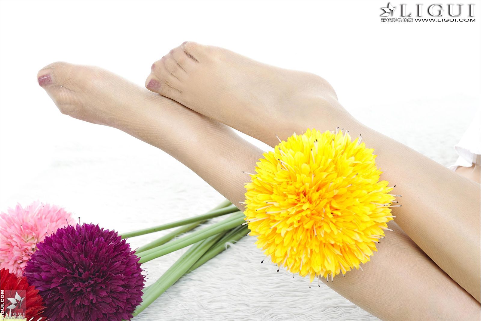 [丽柜] 2013.04.18 网络丽人 MODEL 文静 美腿模特套图