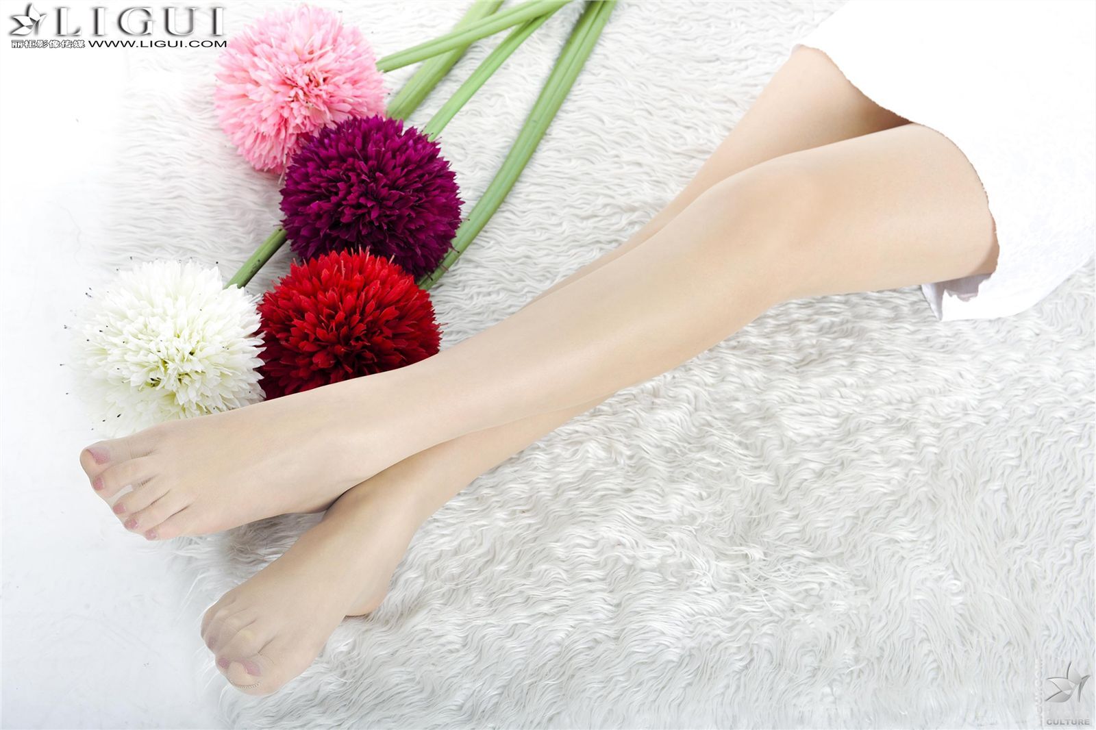 [丽柜] 2013.04.18 网络丽人 MODEL 文静 美腿模特套图