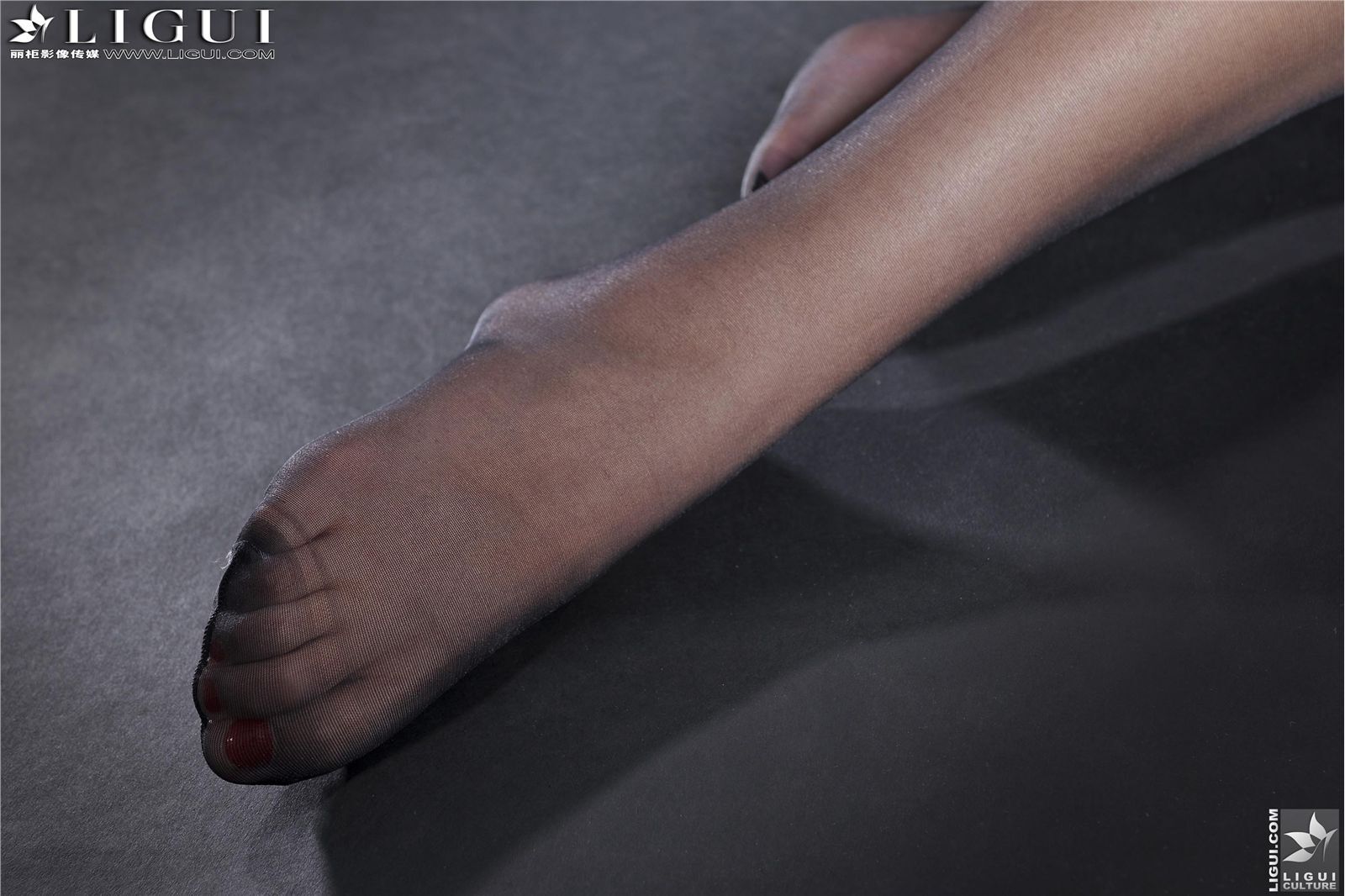 [丽柜] 2013.05.12 网络丽人 MODEL Amily