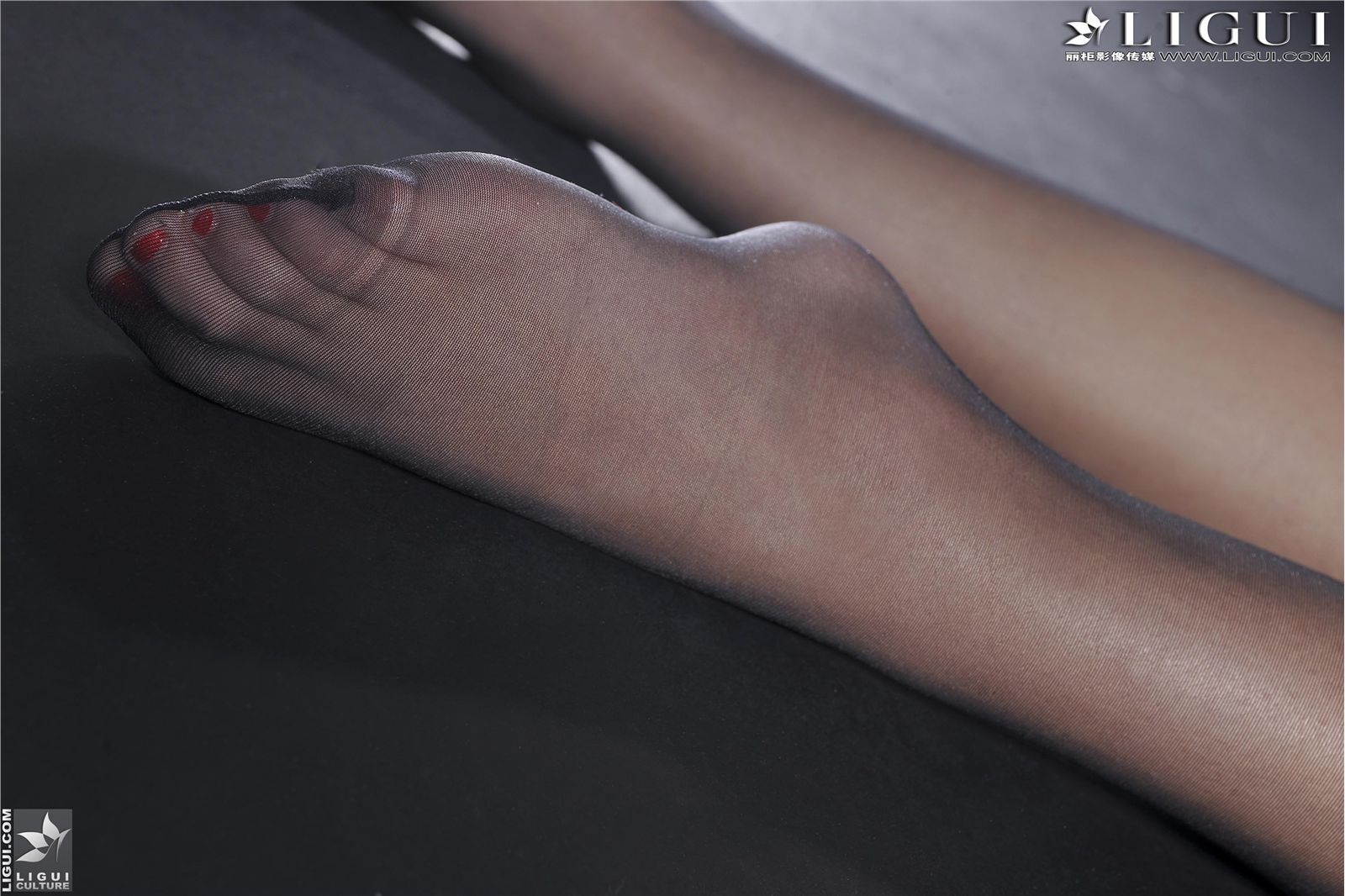 [丽柜] 2013.05.12 网络丽人 MODEL Amily