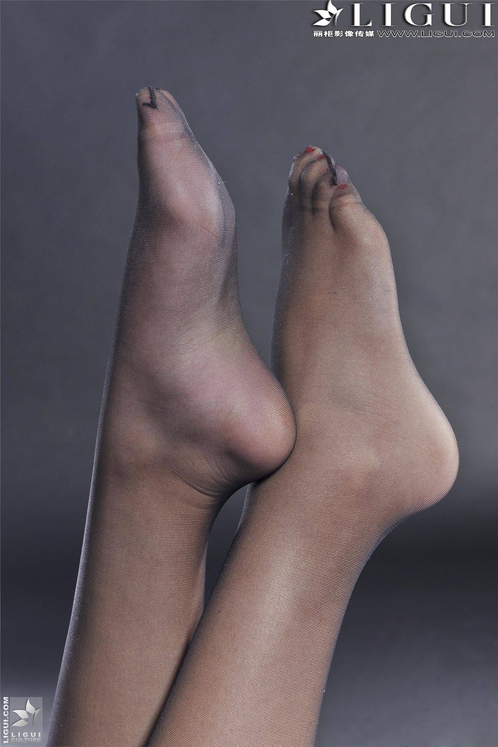 [丽柜] 2013.05.12 网络丽人 MODEL Amily