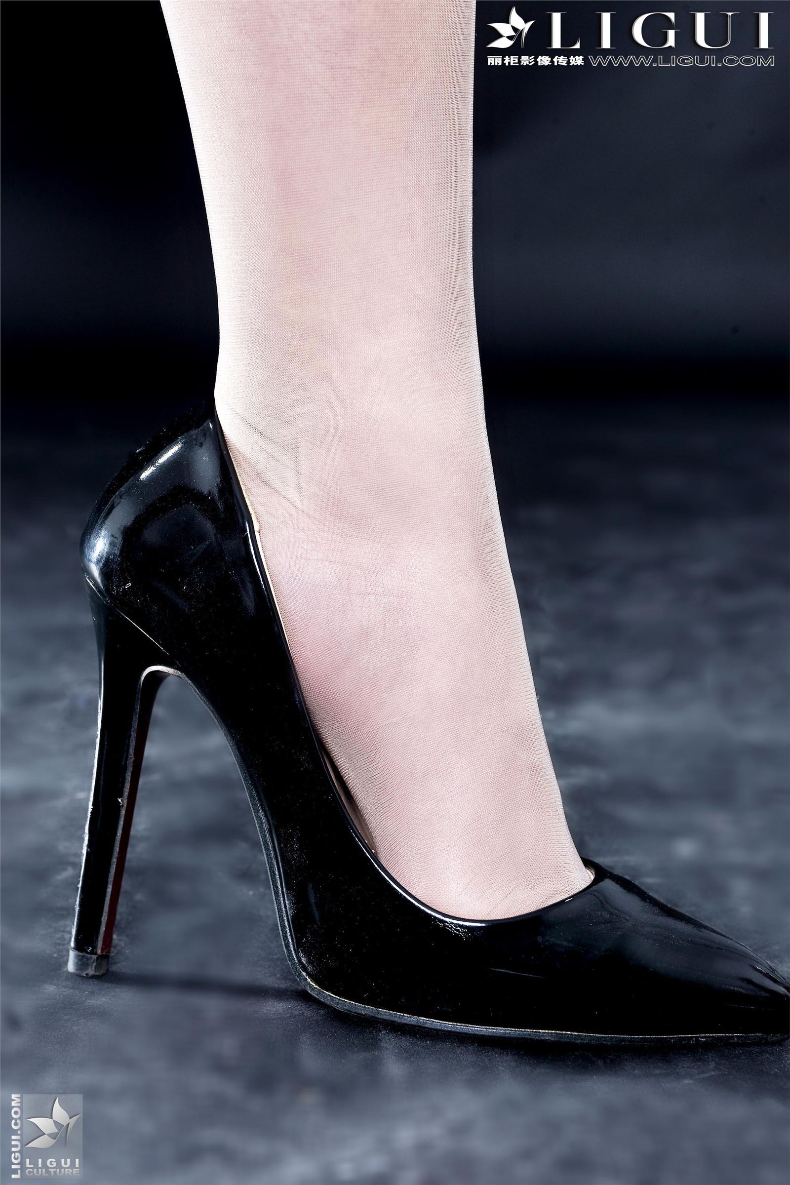 [丽柜] 2013.05.18 网络丽人 MODEL 凌凌