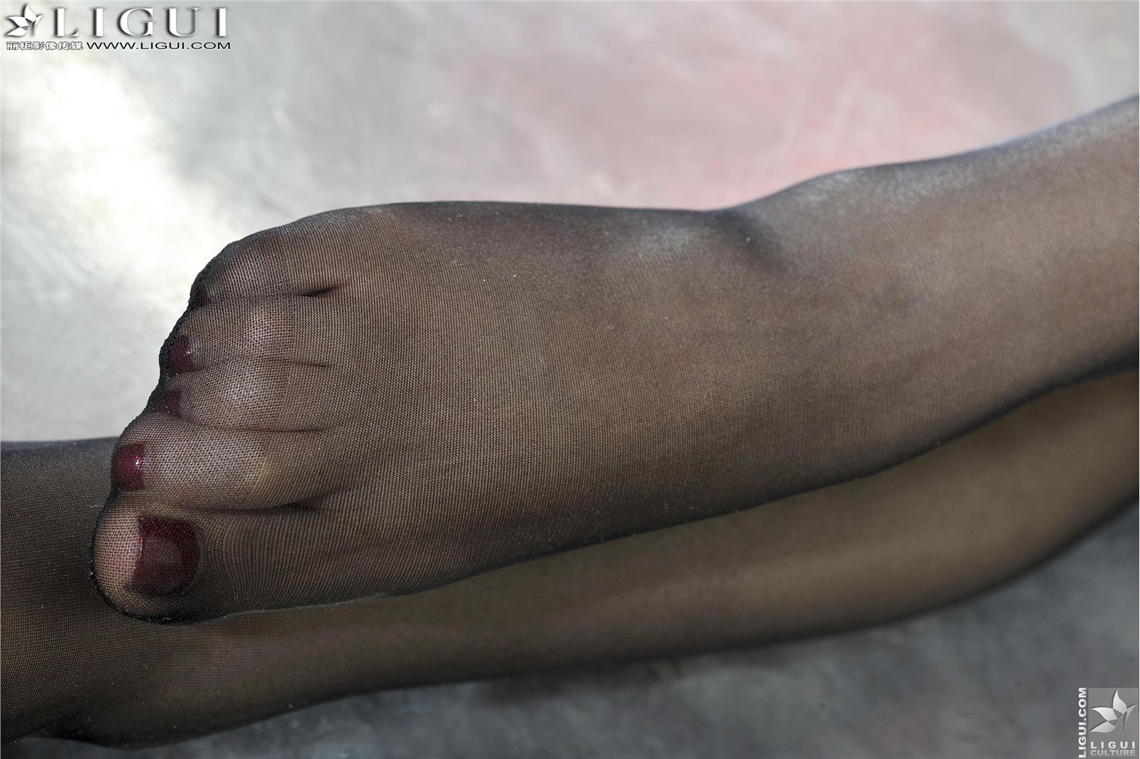 [丽柜] 2013.05.27 网络丽人 MODEL 文静