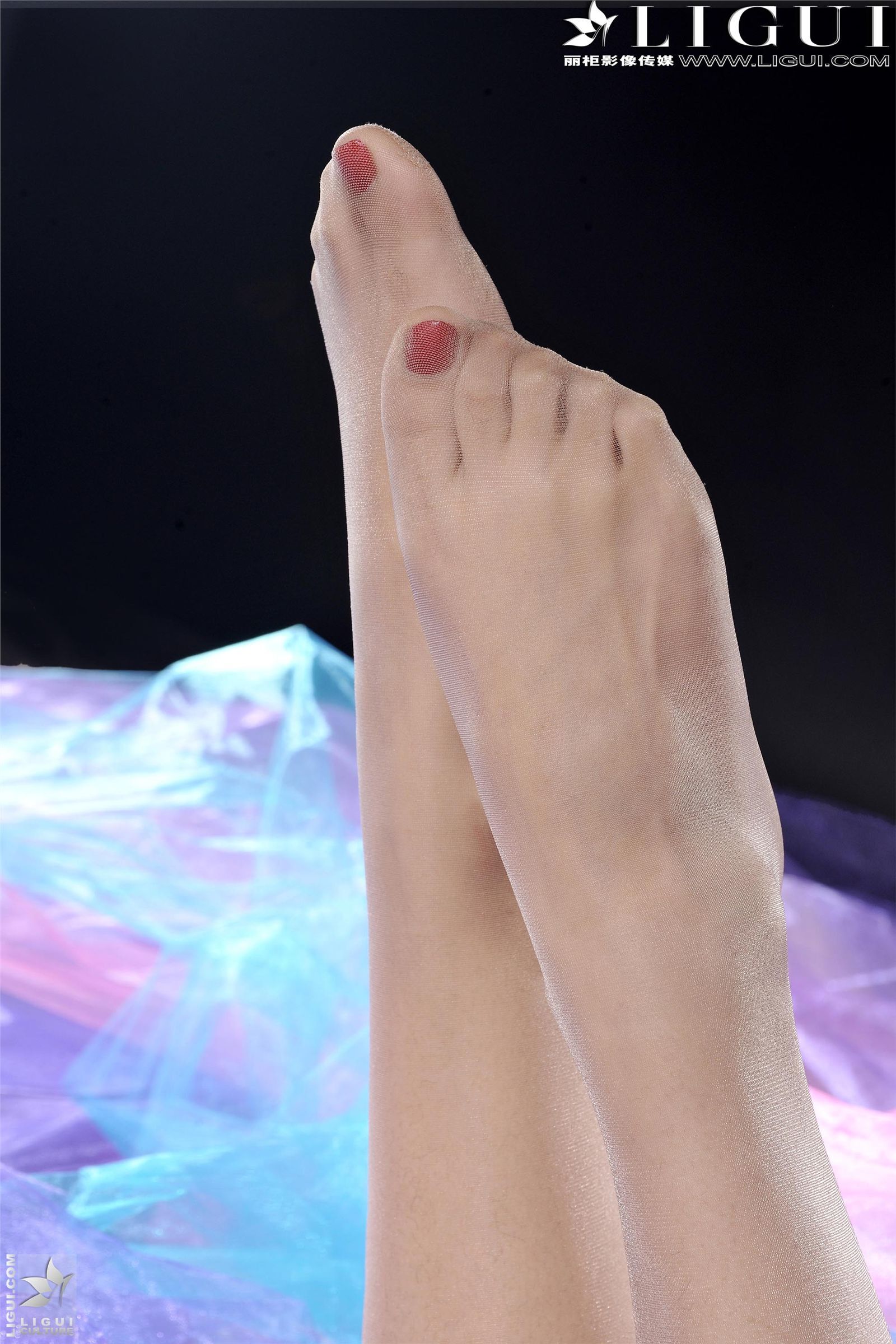 [丽柜] 2013.06.10 网络丽人 MODEL 安娜