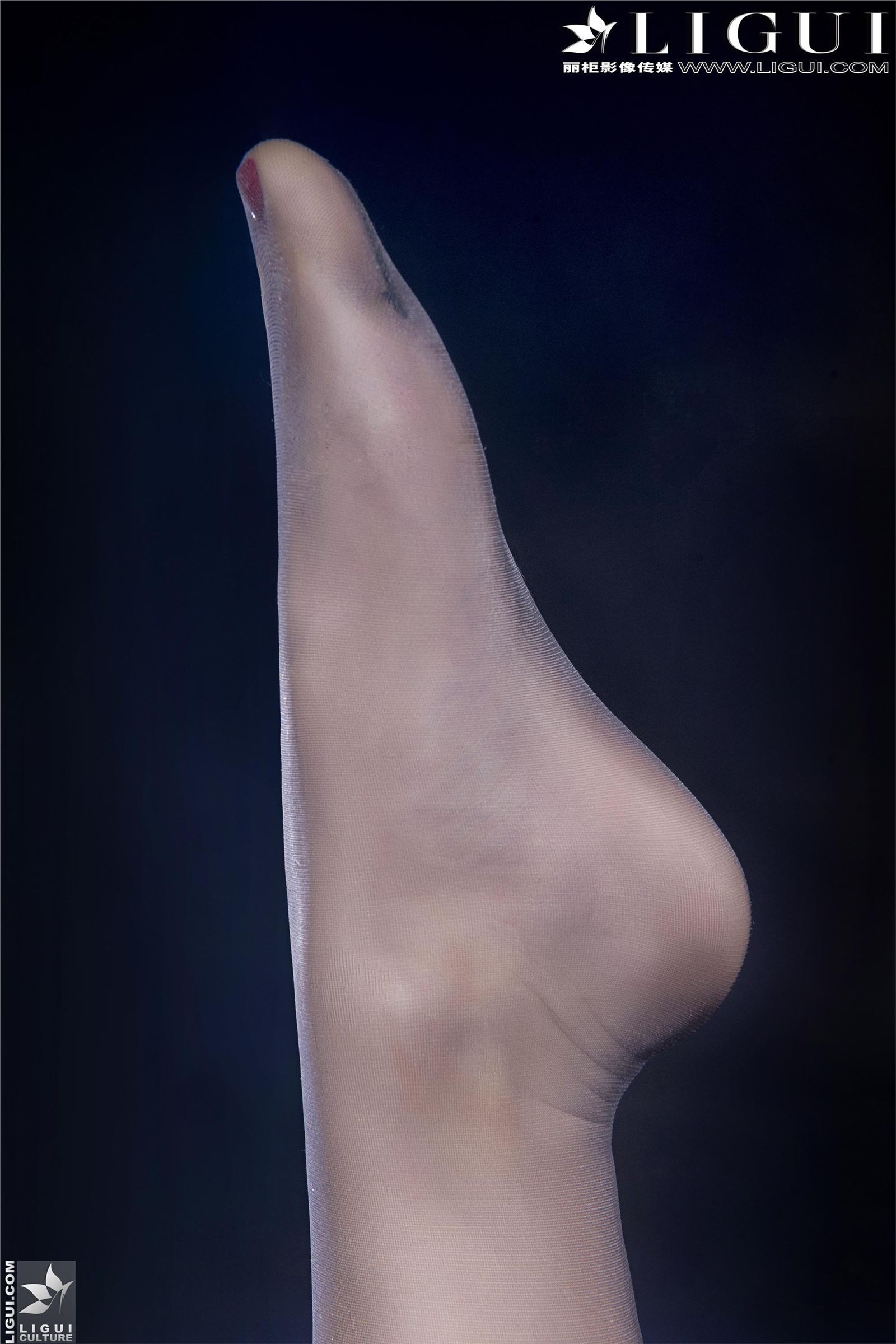 [丽柜] 2013.07.06 vip网络丽人 Model 安娜