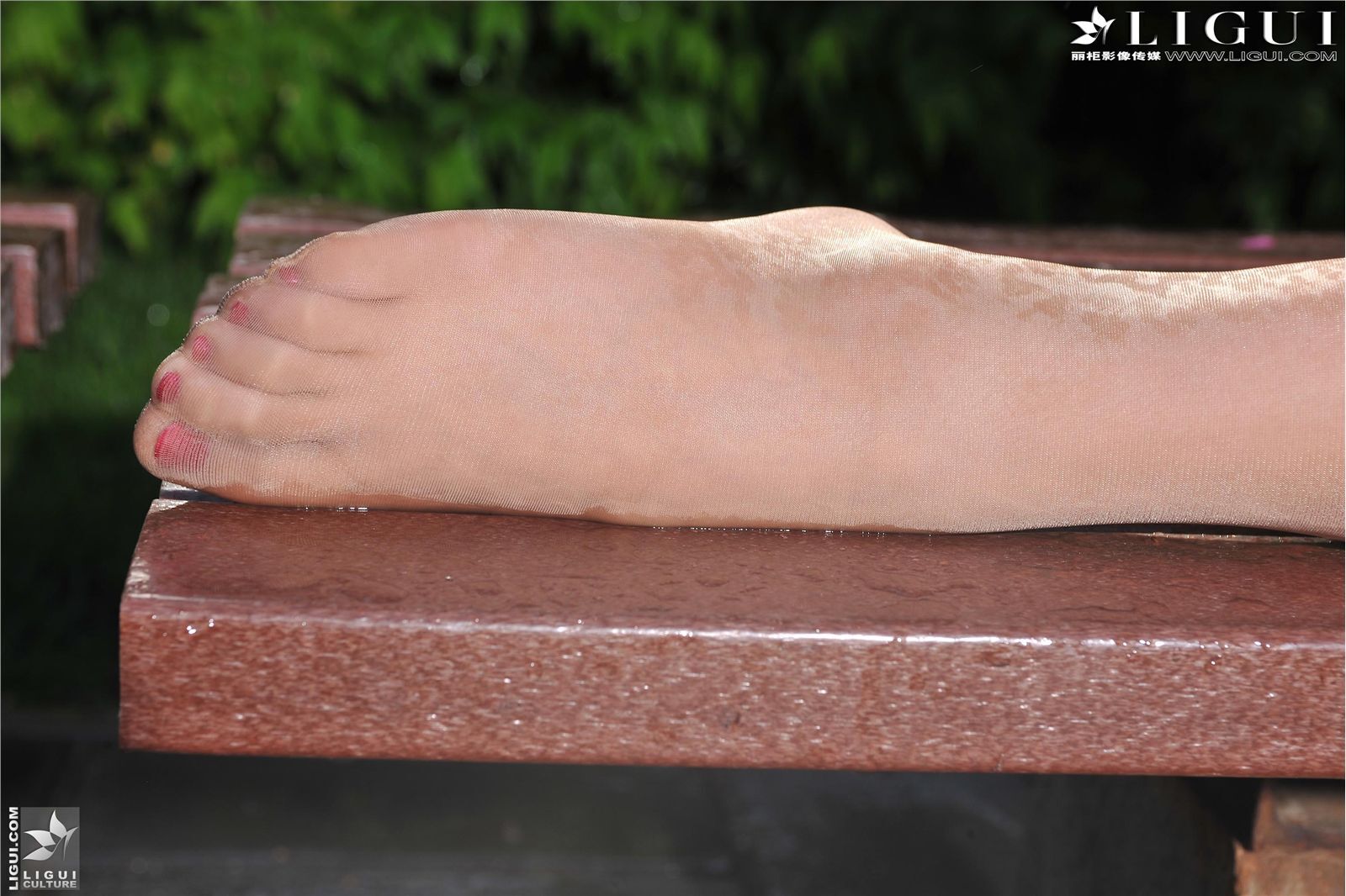 [麗櫃] 20130814 網絡麗人 MODEL Amily