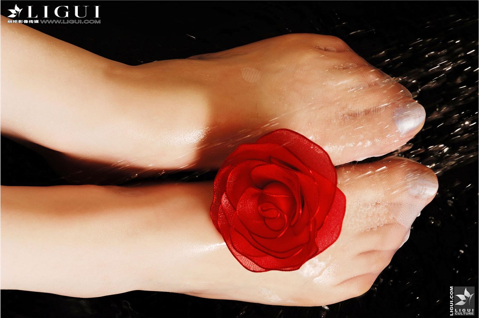 [麗櫃][09-09] Model - 蒙蒙