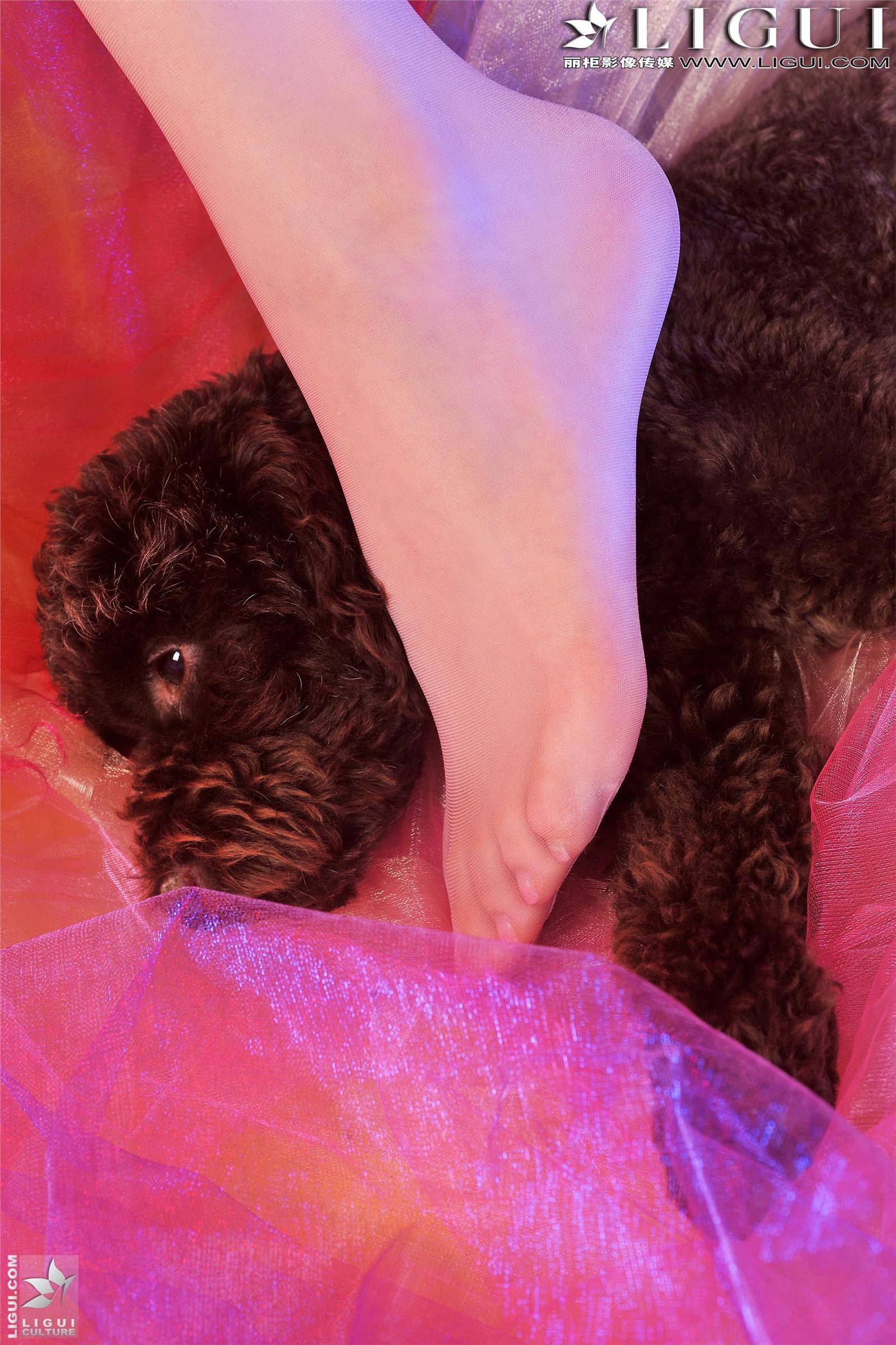 [丽柜] 20131029 网络丽人 MODEL 美辰