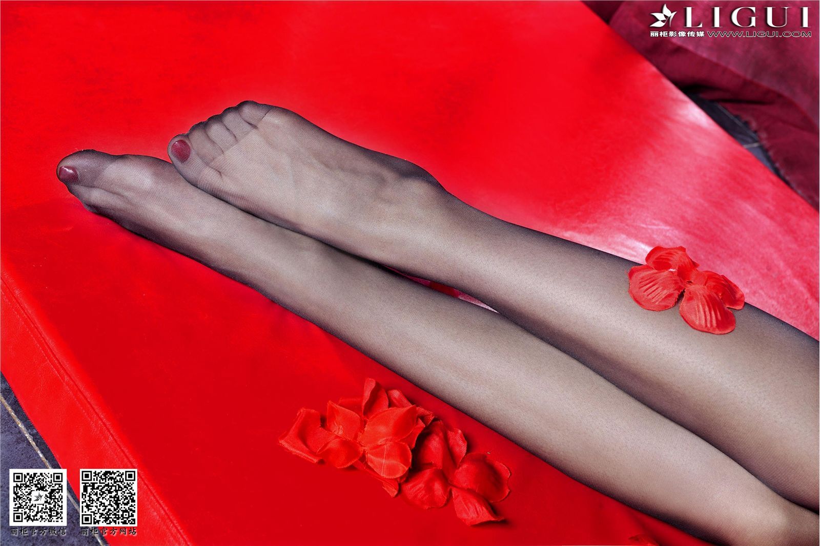 [Ligui丽柜]2014.01.06 Model 安娜