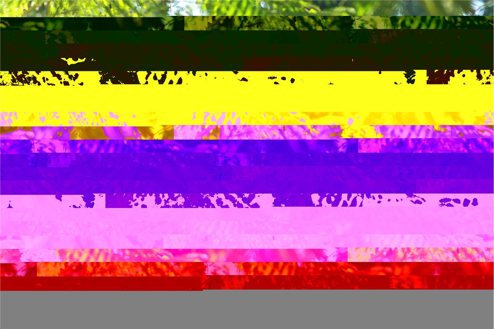 麻豆系列高清美女图片 2011年2月06日 小綠 国产性感美女