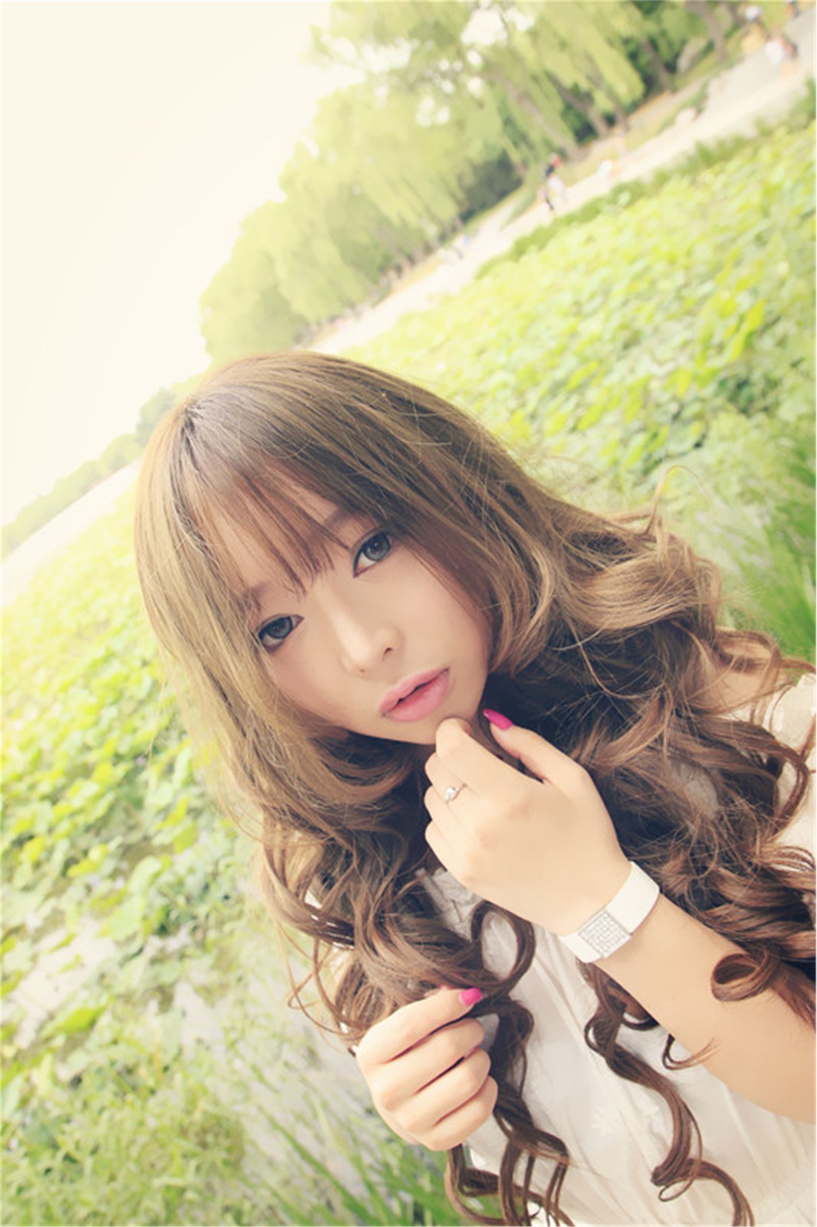 美味甜点 夏日荷塘唯美写真 紫绮原像素