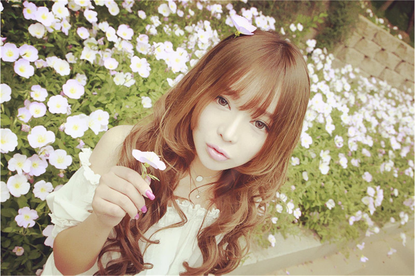 美味甜点 夏日荷塘唯美写真 紫绮原像素