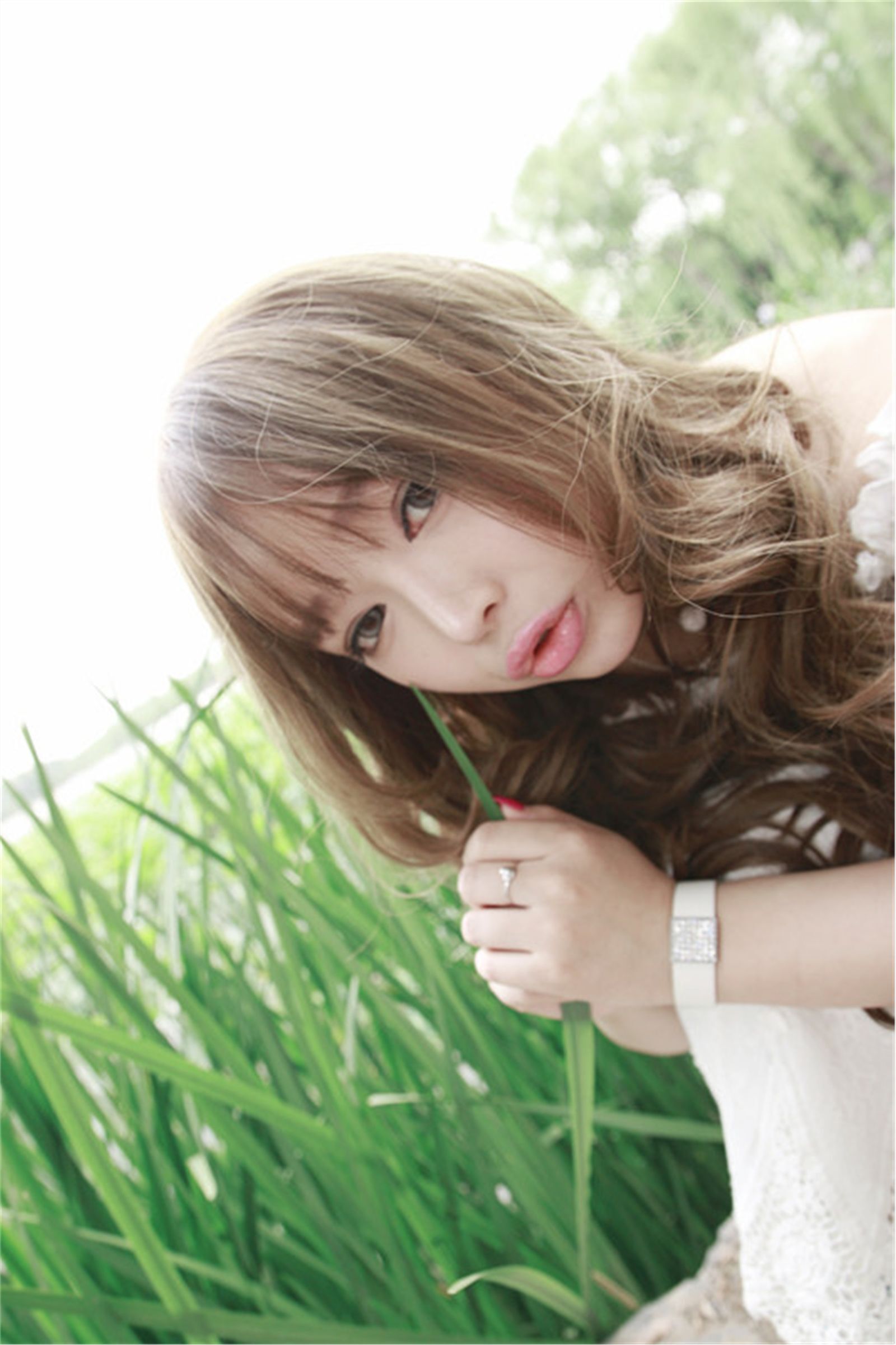 美味甜点 夏日荷塘唯美写真 紫绮原像素