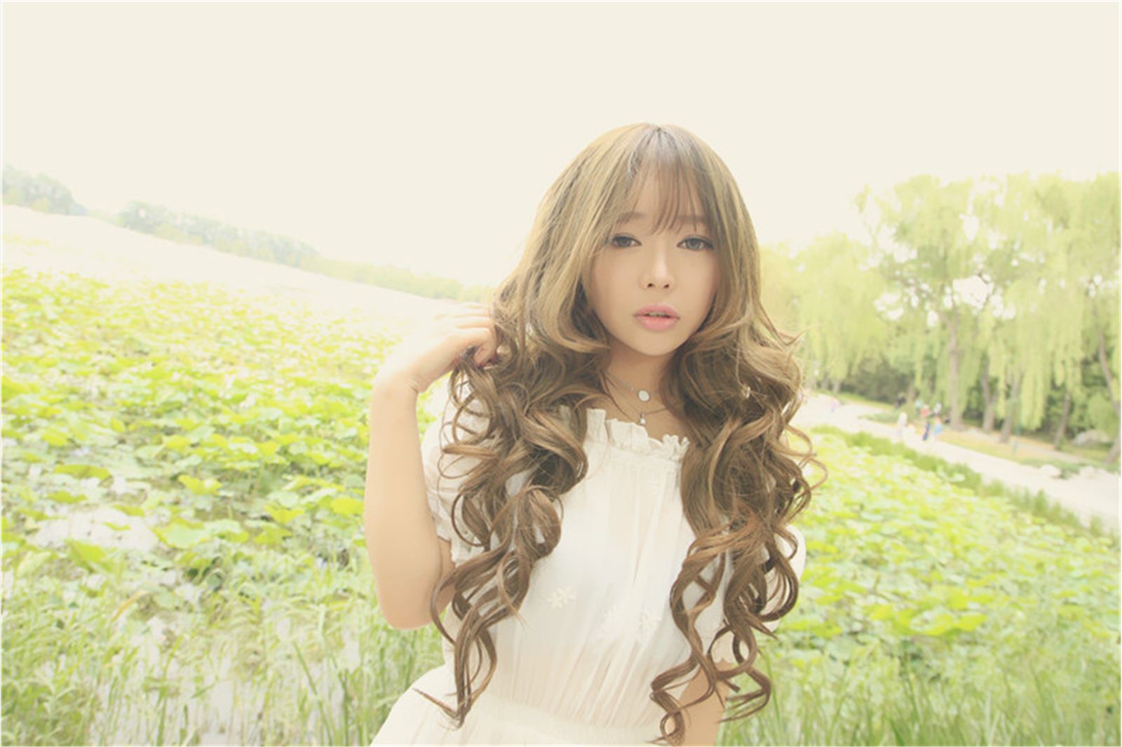 美味甜点 夏日荷塘唯美写真 紫绮原像素