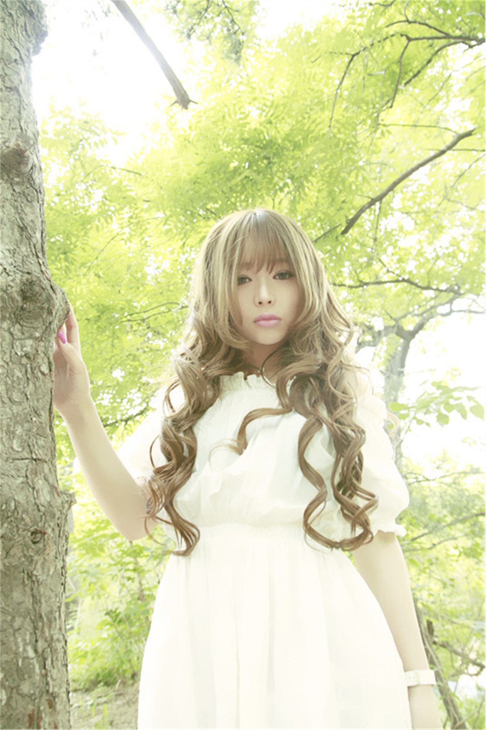 美味甜点 夏日荷塘唯美写真 紫绮原像素