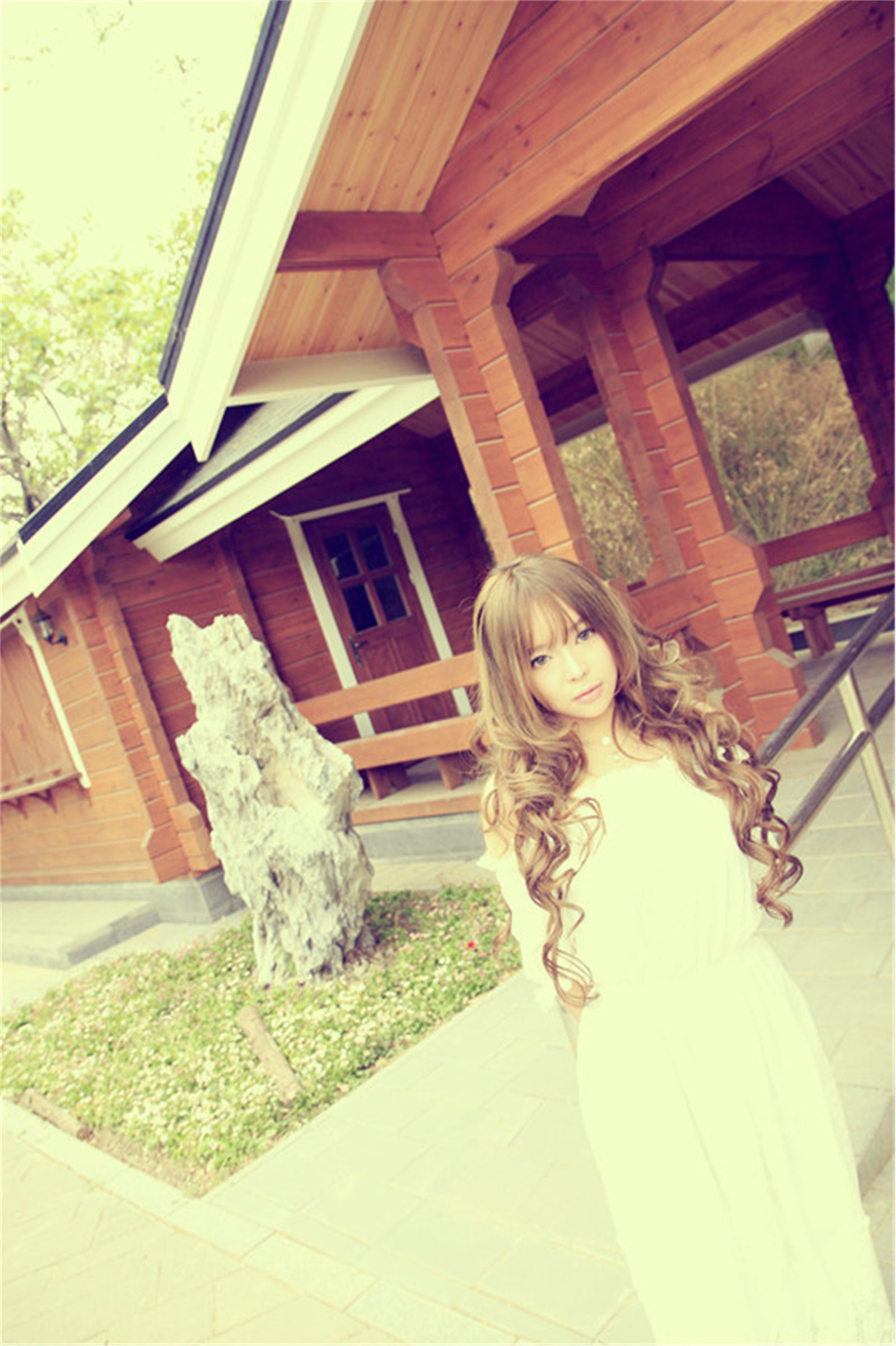 美味甜点 夏日荷塘唯美写真 紫绮原像素