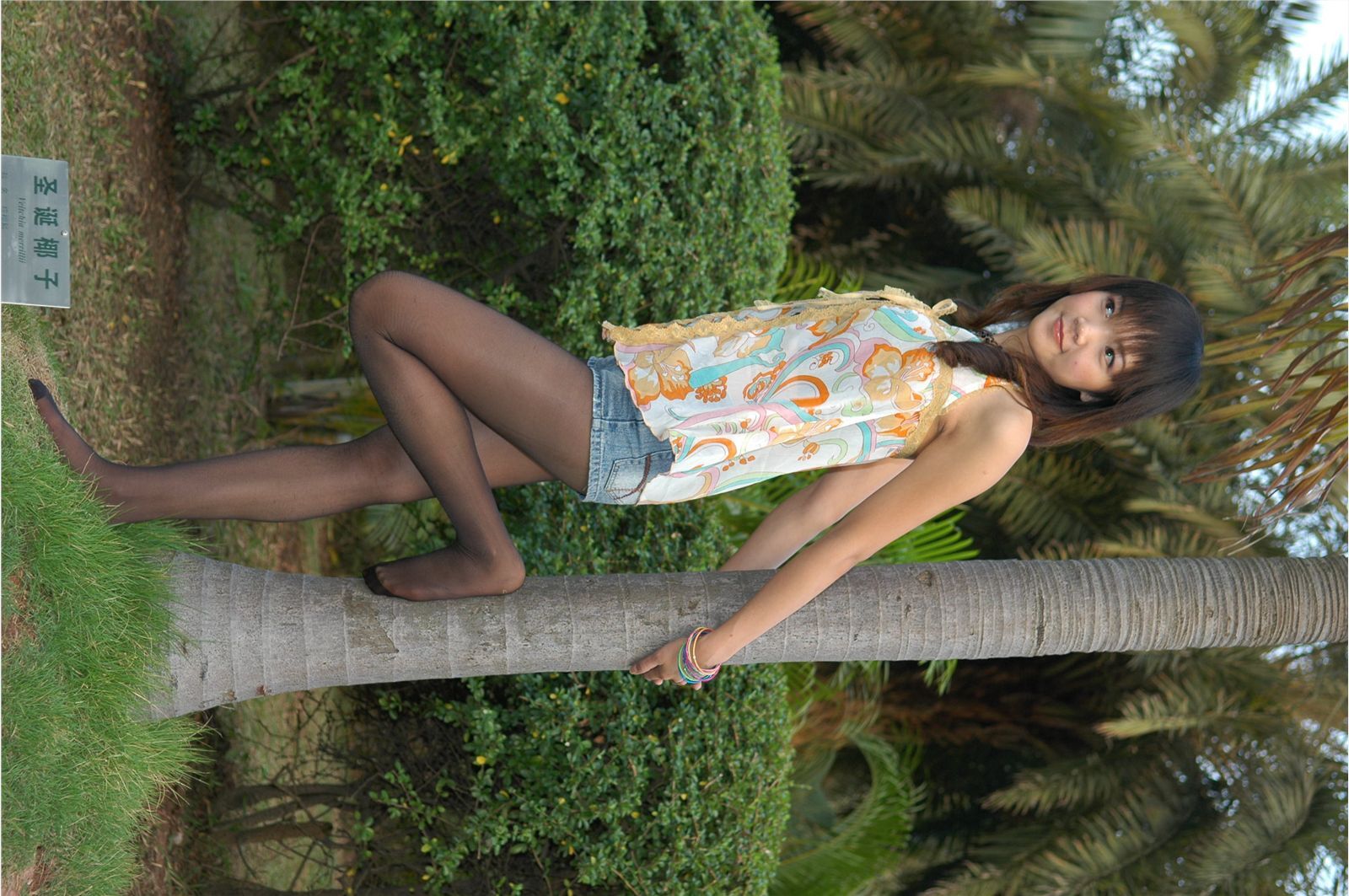 [网络收集] 2013.06.22 网络红人Dandan高清套图无水印