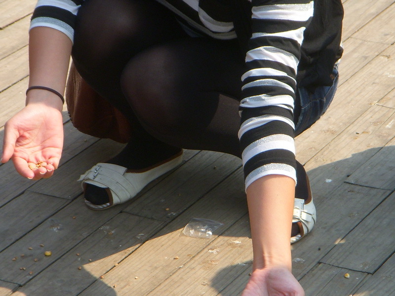 [户外街拍] 2013.08.06 公园中偶遇相当养眼的的黑丝美女