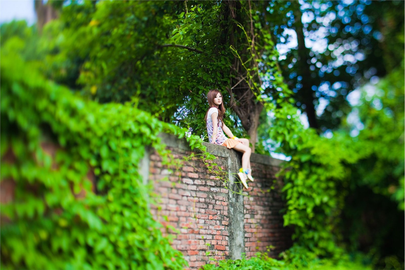 果子最终的品果兔 桥头糖厂+国光社区