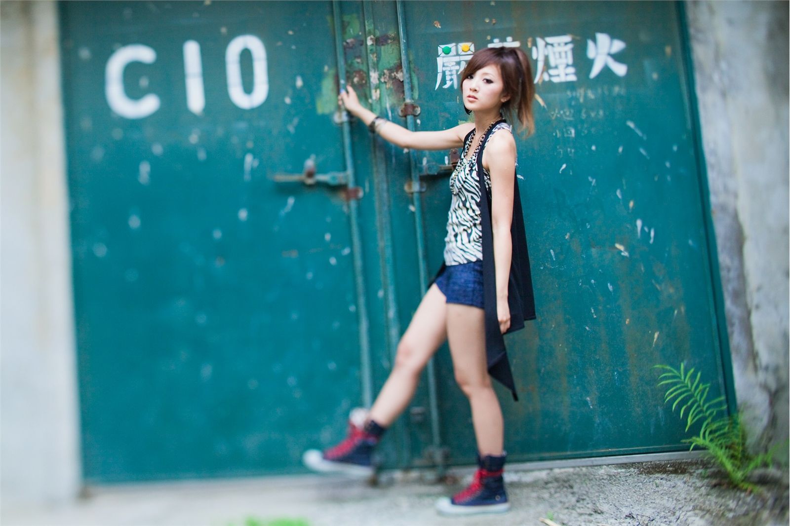 果子最终的品果兔 桥头糖厂+国光社区