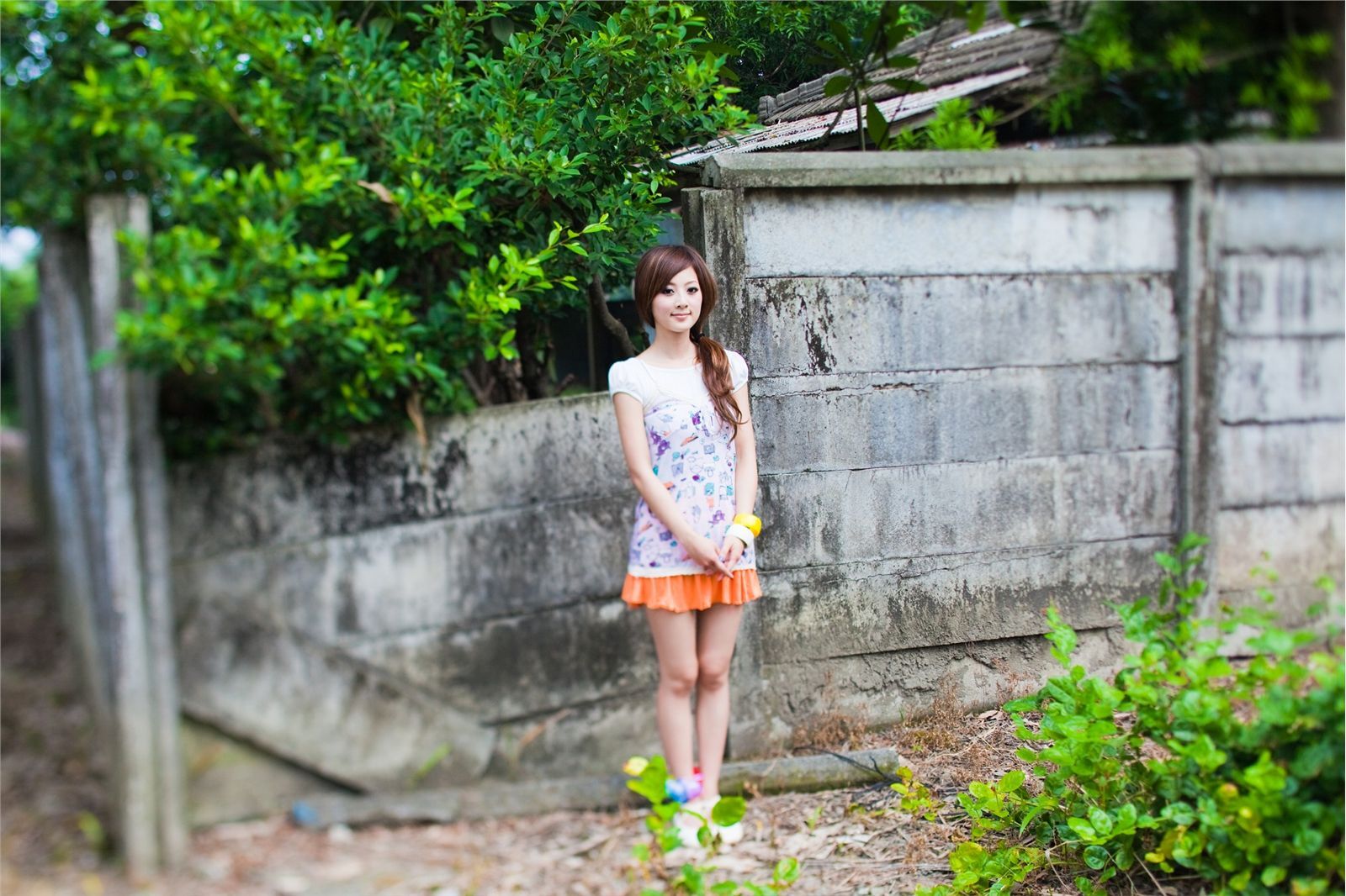 果子最终的品果兔 桥头糖厂+国光社区