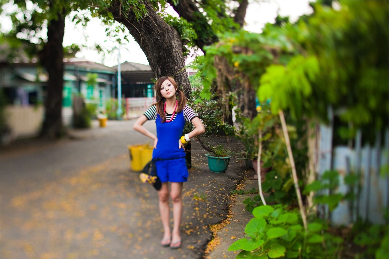 果子最终的品果兔 桥头糖厂+国光社区