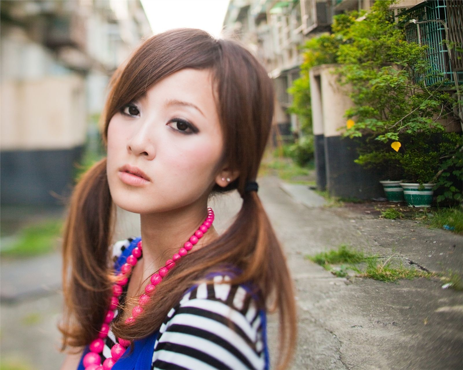 果子最终的品果兔 桥头糖厂+国光社区