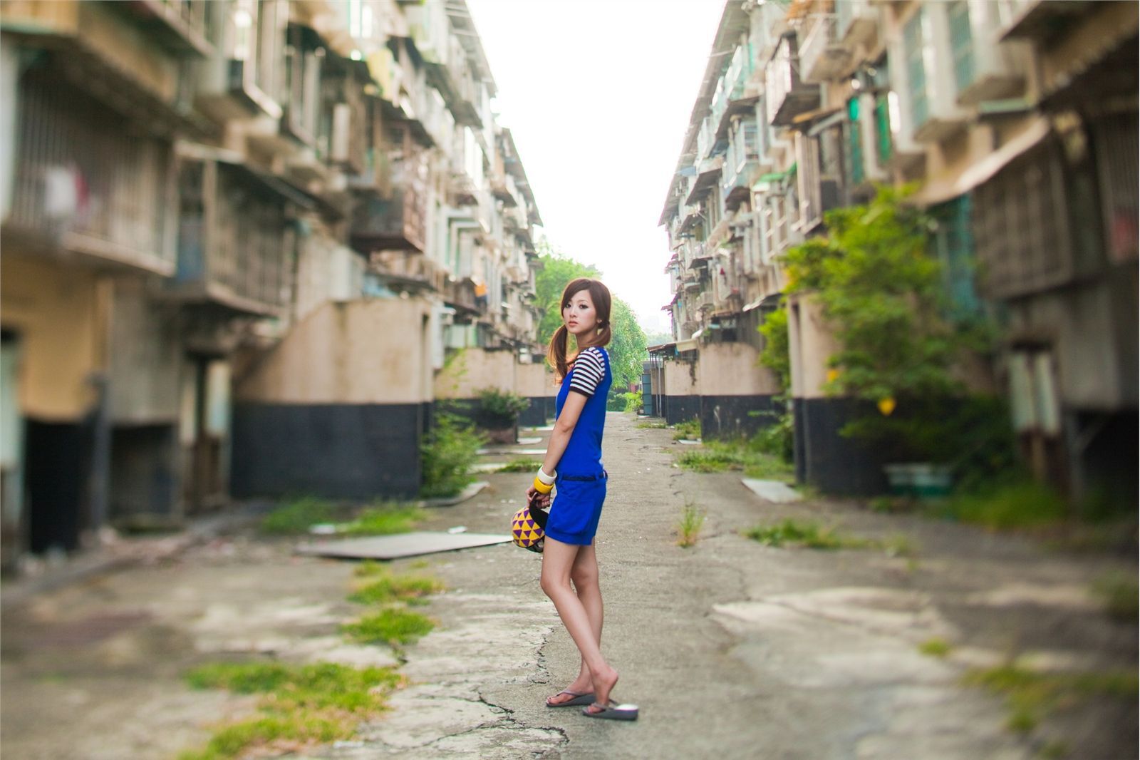 果子最终的品果兔 桥头糖厂+国光社区