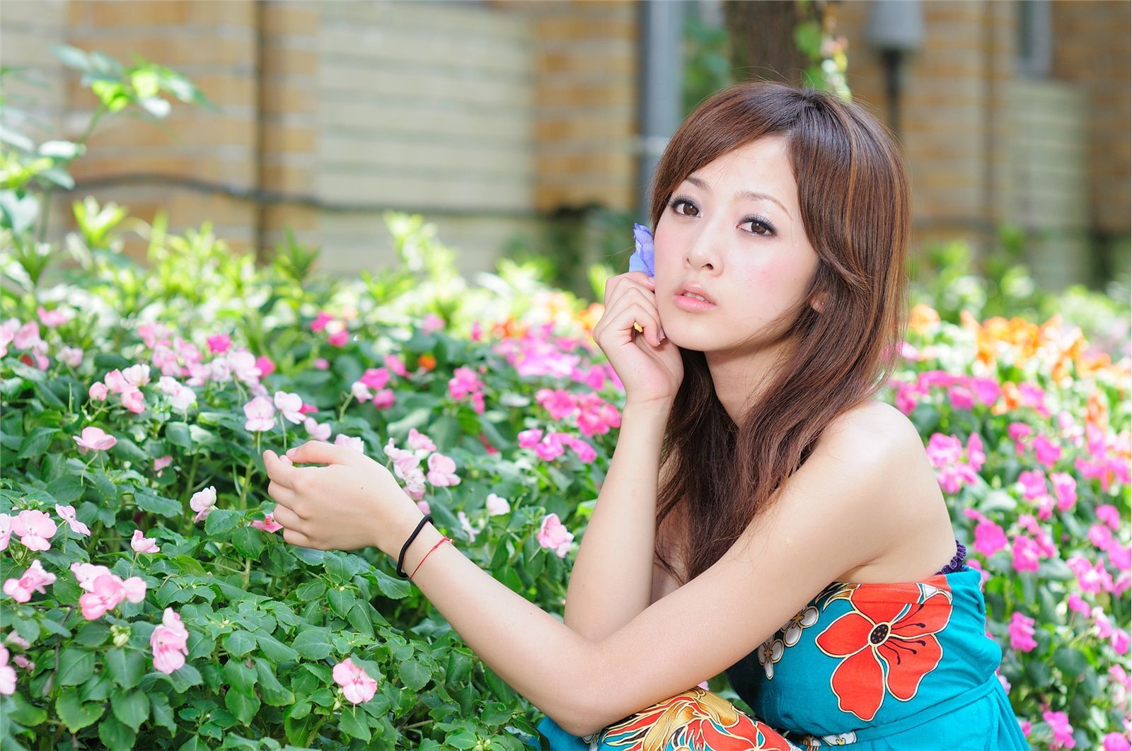 果子台大 第二套