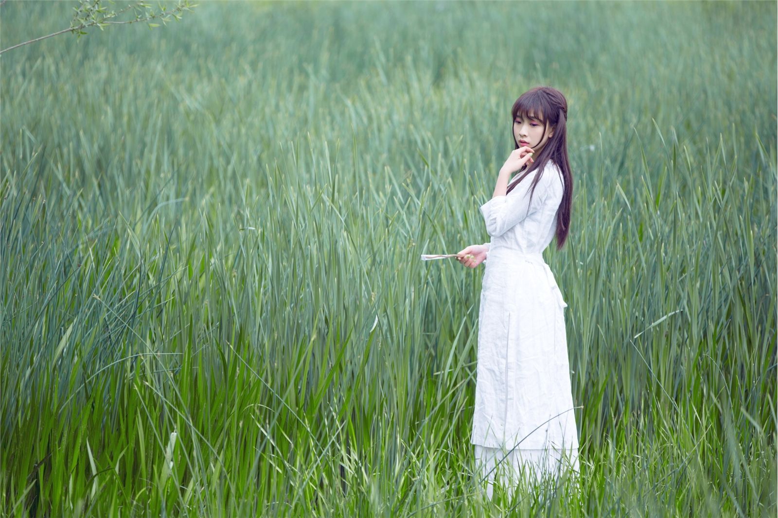 宠物女生何曼婷照片