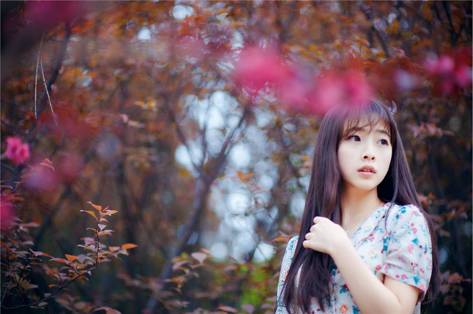 宠物女生何曼婷照片