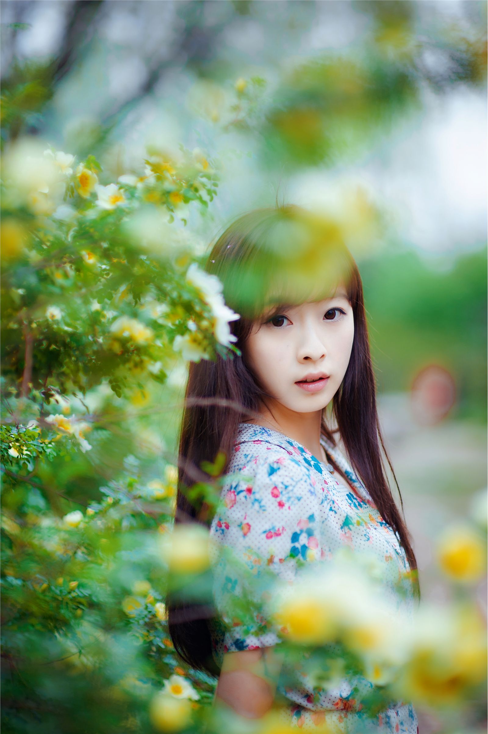 宠物女生何曼婷照片