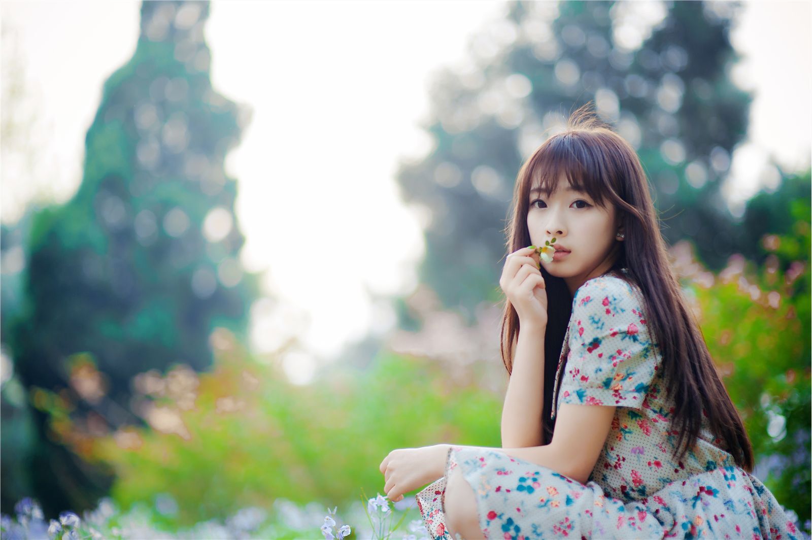 宠物女生何曼婷照片