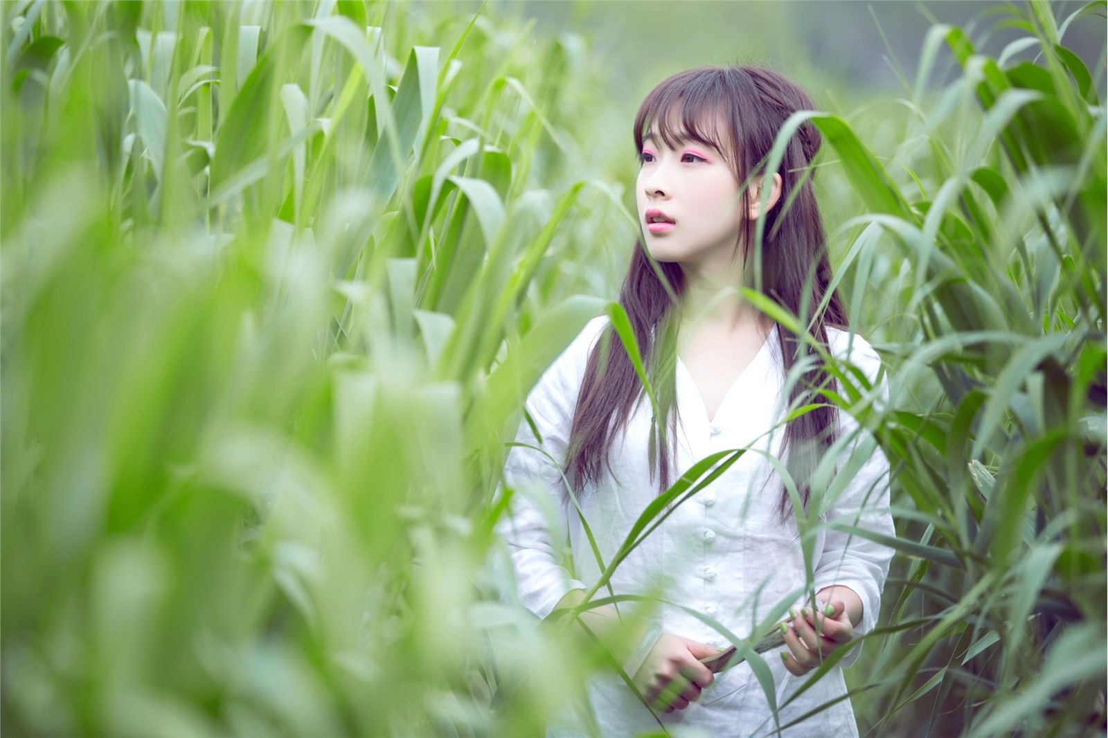 宠物女生何曼婷照片