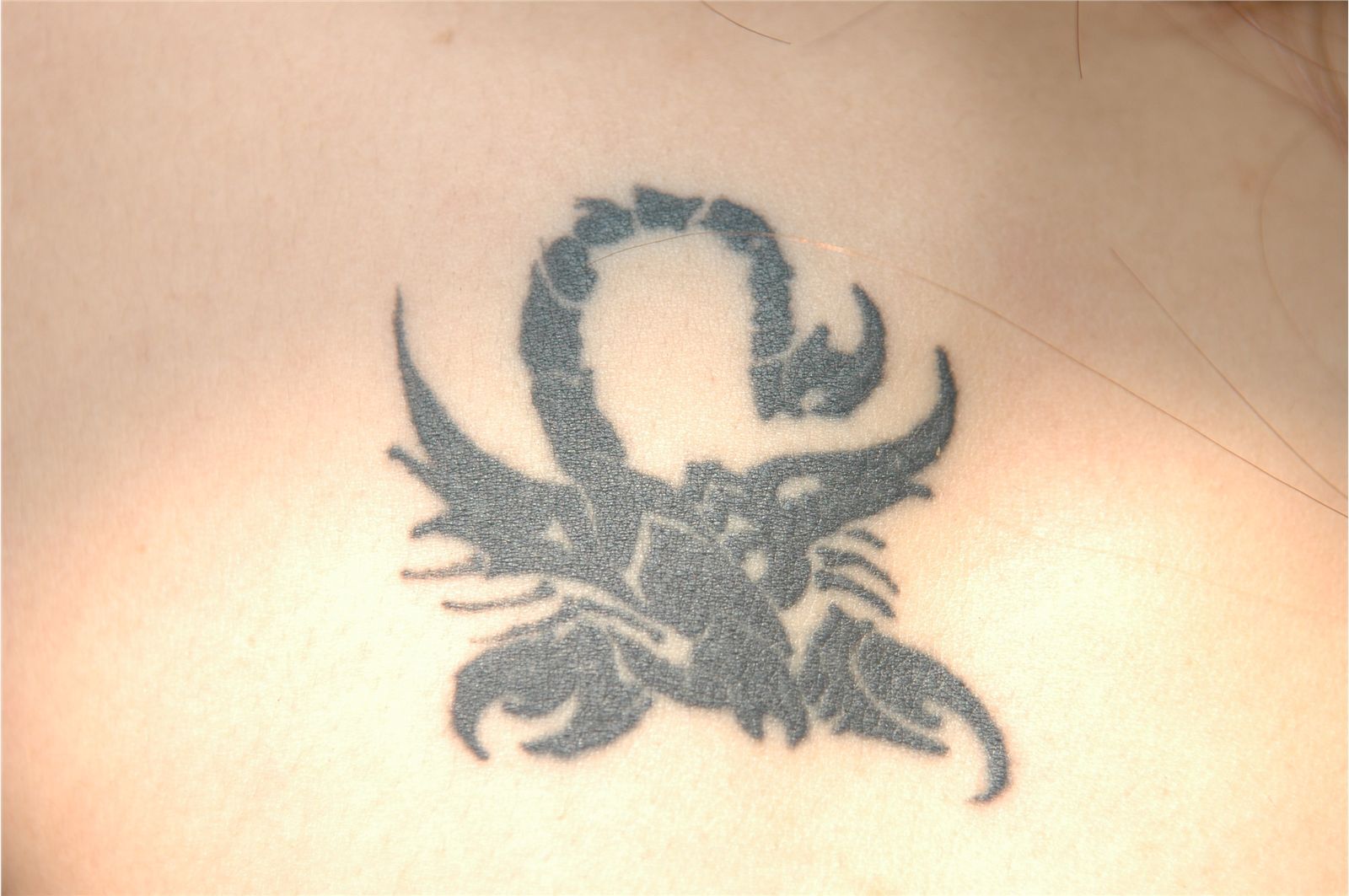 wenwen 性感丝袜美女户外写真